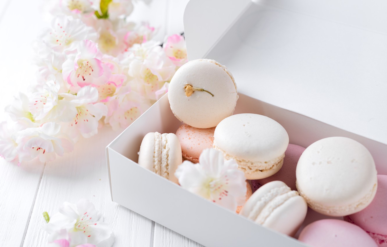 Wallpaper White Pink Flowers French Macaron Pastel Macaroon