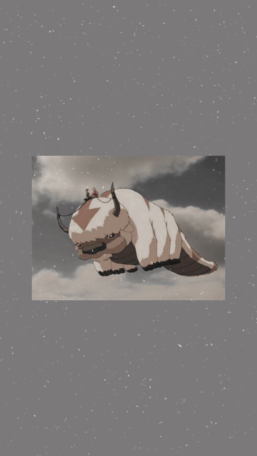 Appa Wallpaper Aesthetic Avatar Picture Airbender