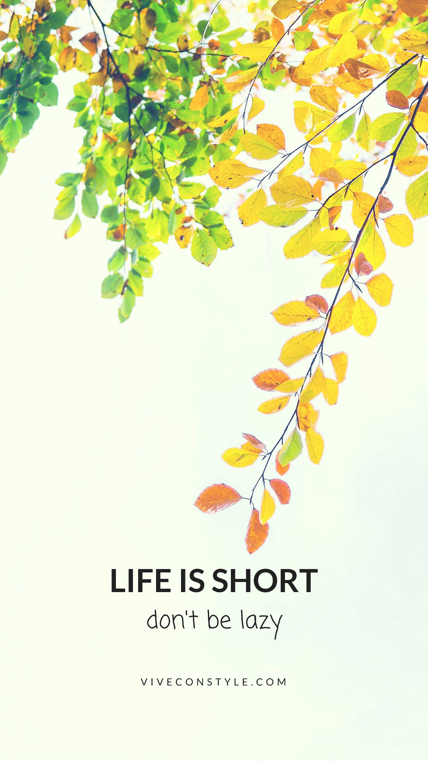 Life Is Short Don T Be Lazy Quote Mobile Wallpaper Vive Con