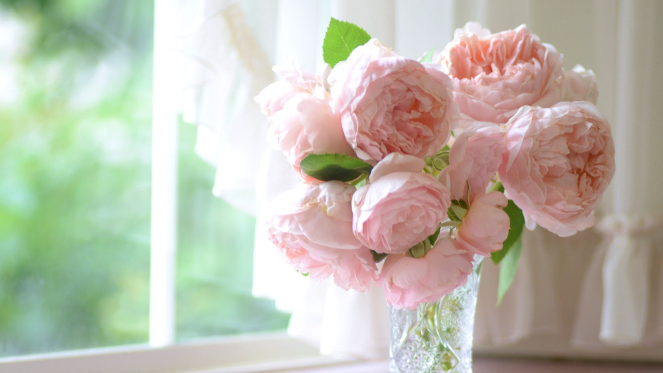 Soft Pink Peonies Bouquet Wallpaper For Desktop Book HD