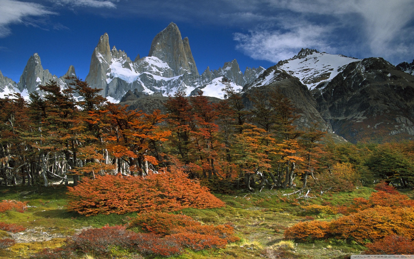 Fitzroy And Beech Trees In Autumn Los Glaciares National Park