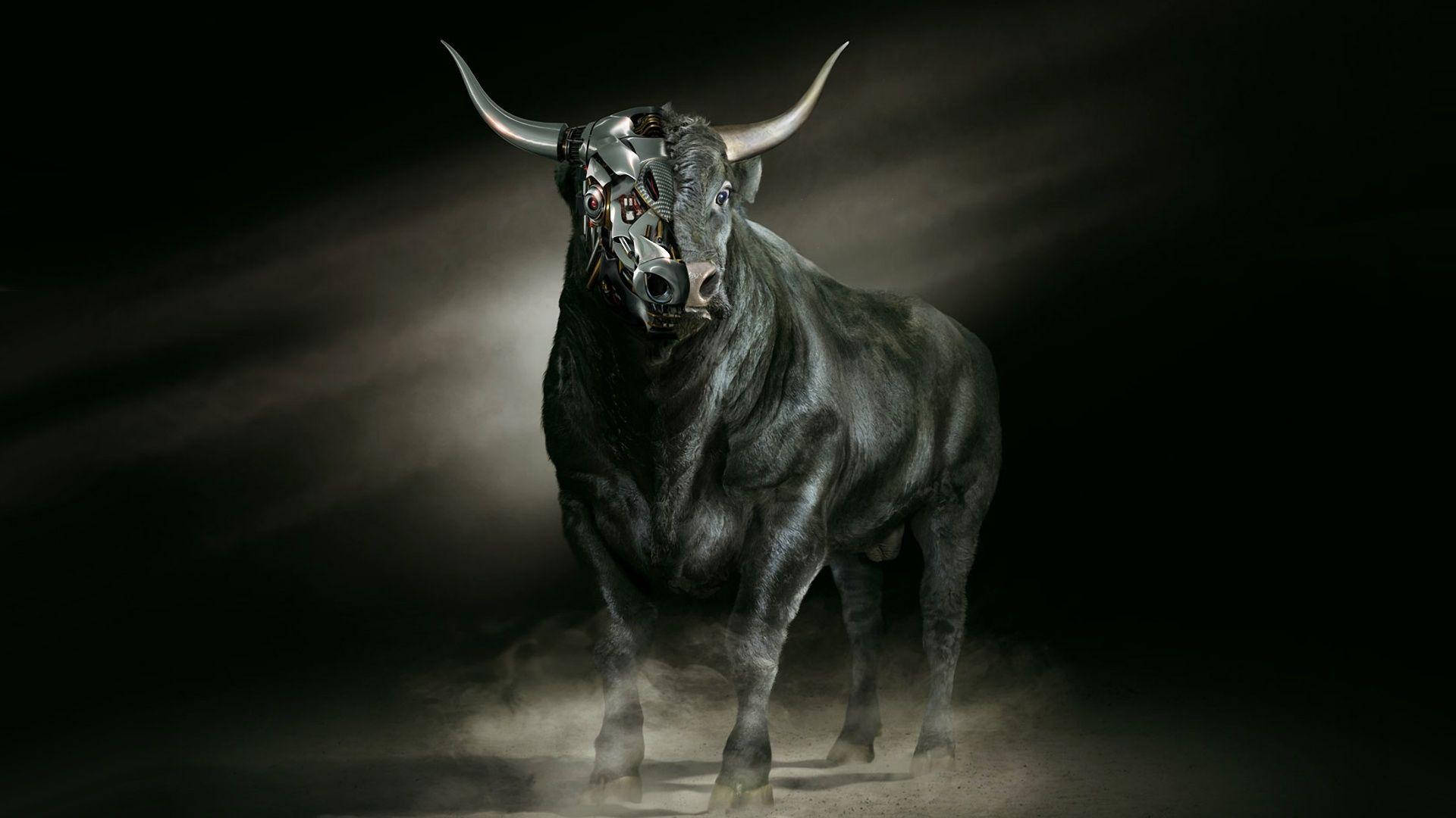 Top Taurus Zodiac Wallpaper Full HD 4k To Use
