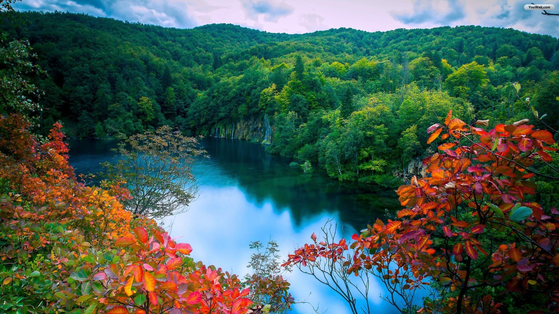 Autumn Forest Lake Wallpaper