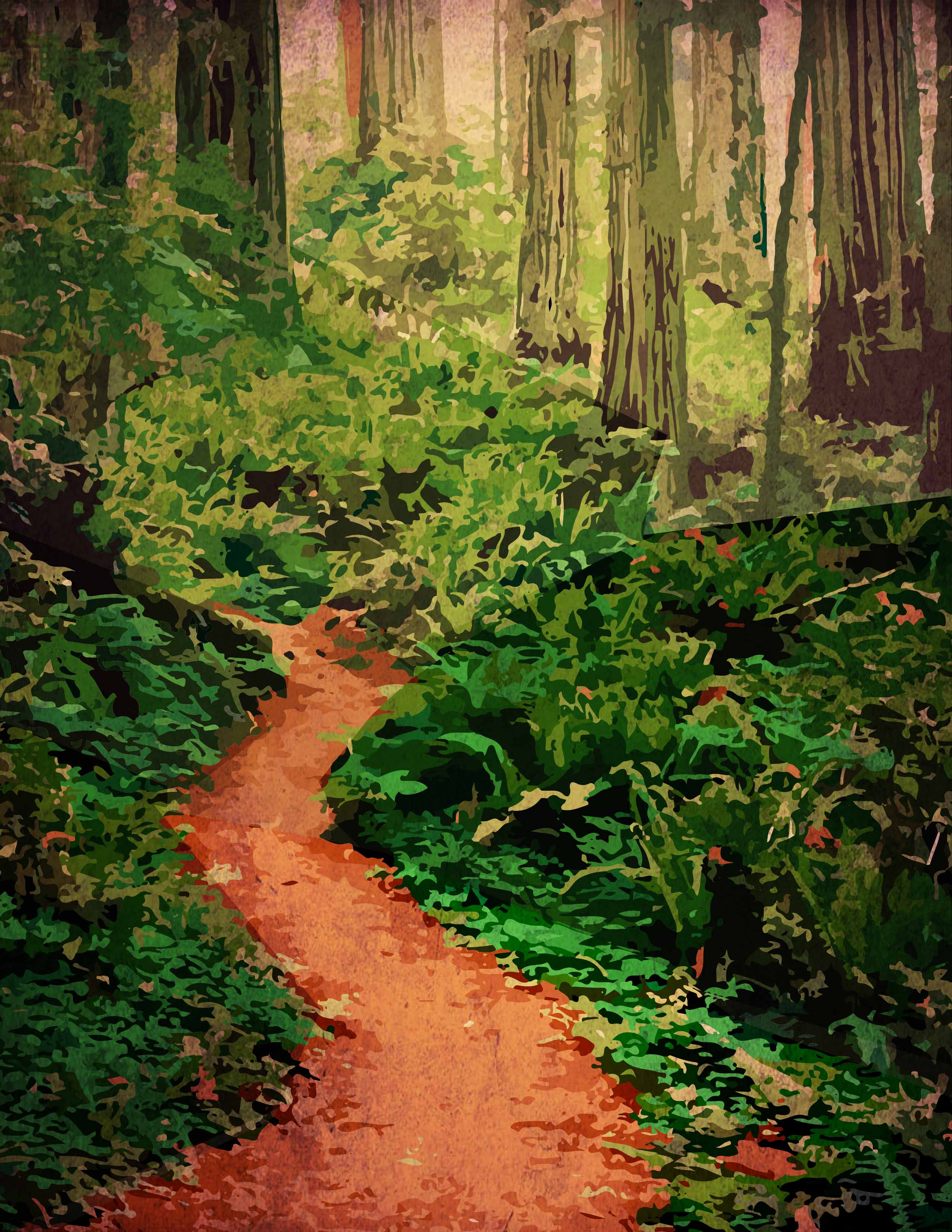 Redwood Forest Wallpaper HD1 Jpg