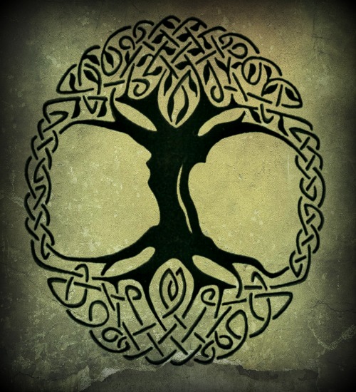 Celtic Tree Of Life Tattoo Jpg