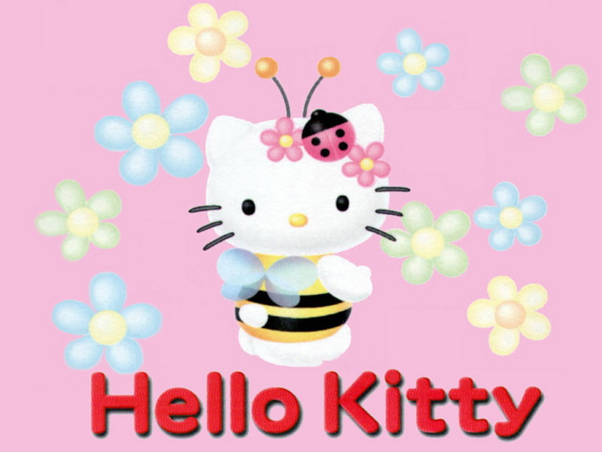 Hello Kitty 8 Pchome