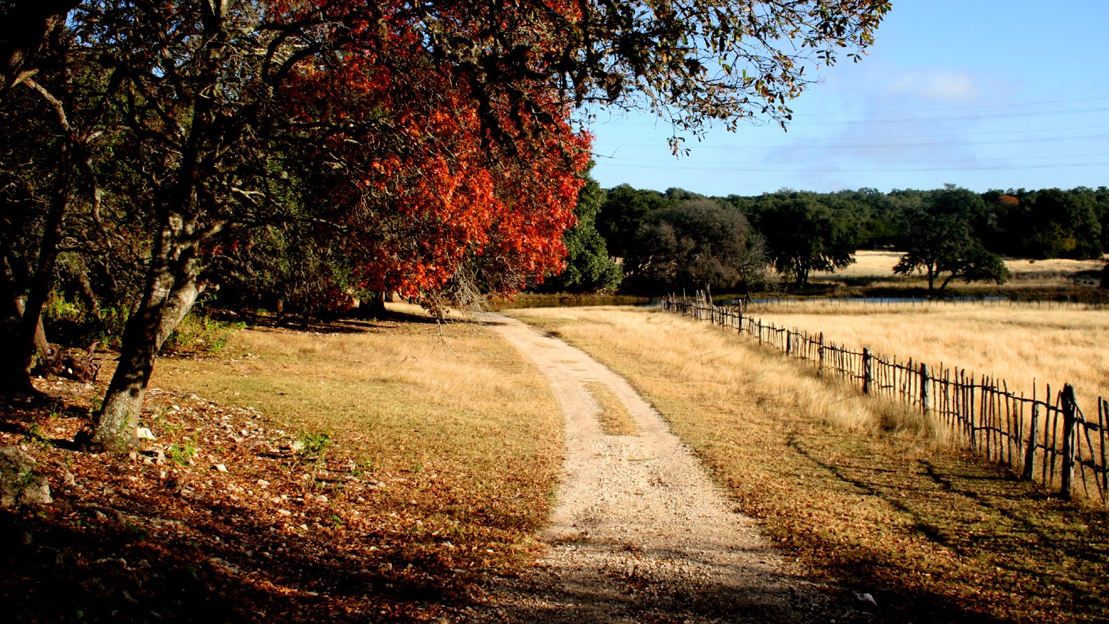 Film Sa Fall In The Texas Hill Country