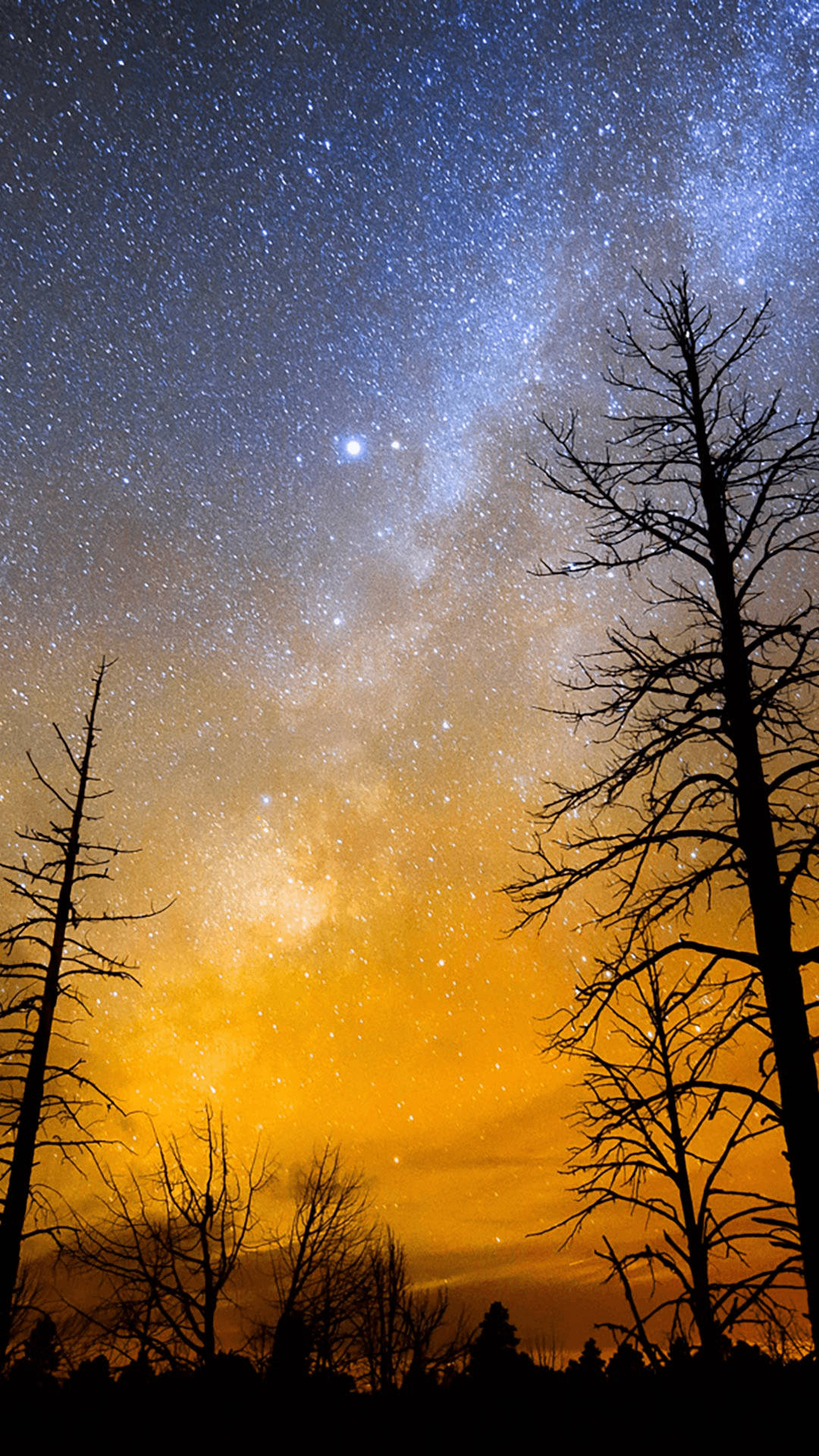 Starry Sky Wallpaper
