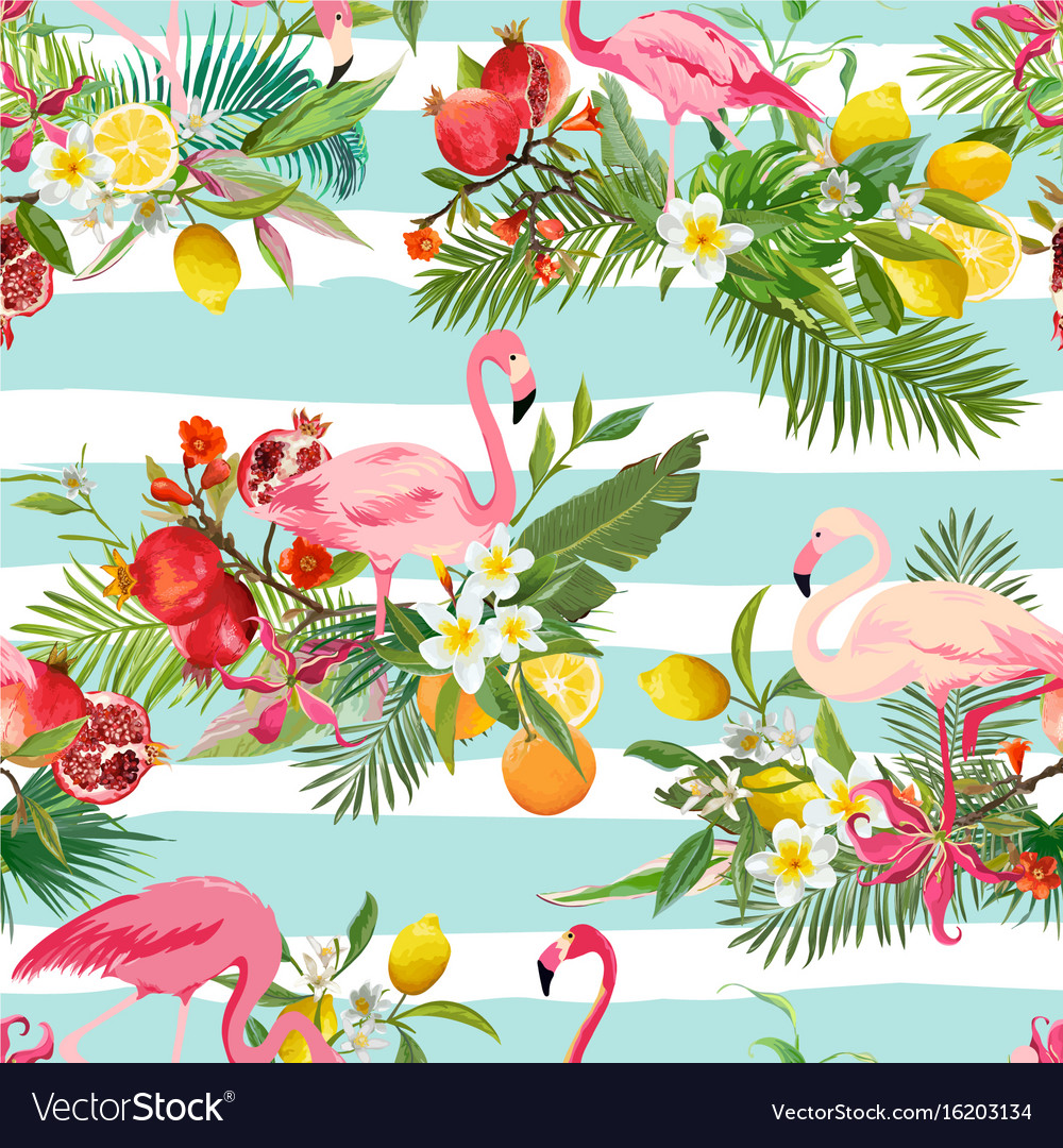 Tropical Fruits Flowers And Flamingo Background Vector Image