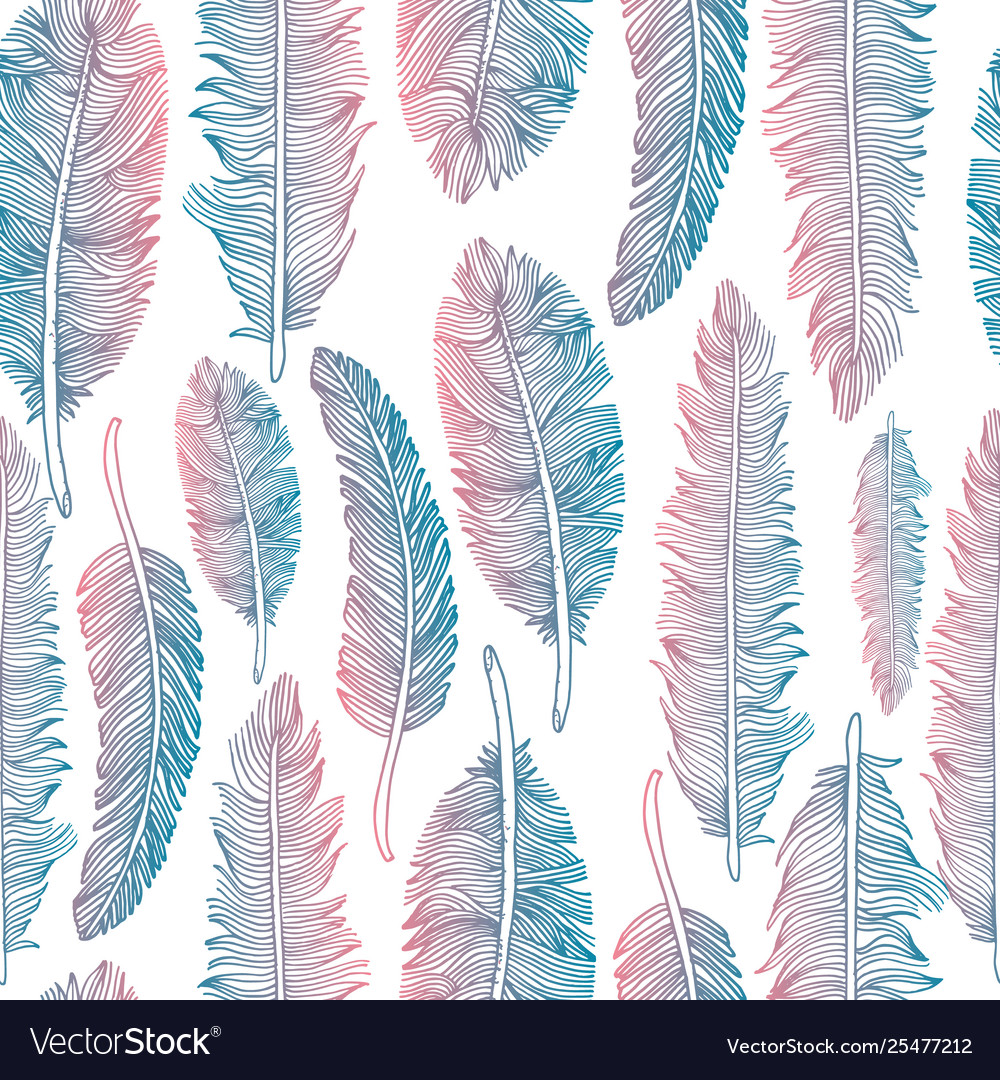 Feathers Set On White Background Royalty Vector