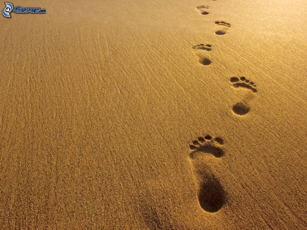 Footprints In The Sand Wallpaper Footprints In The Sand Pictures to