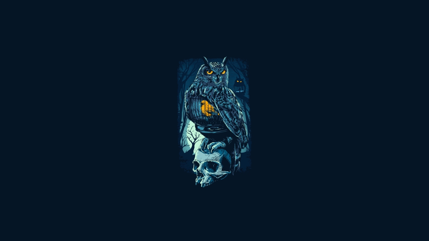 Free download Owl sitting on the skull wallpaper 40375 [1366x768] for ...