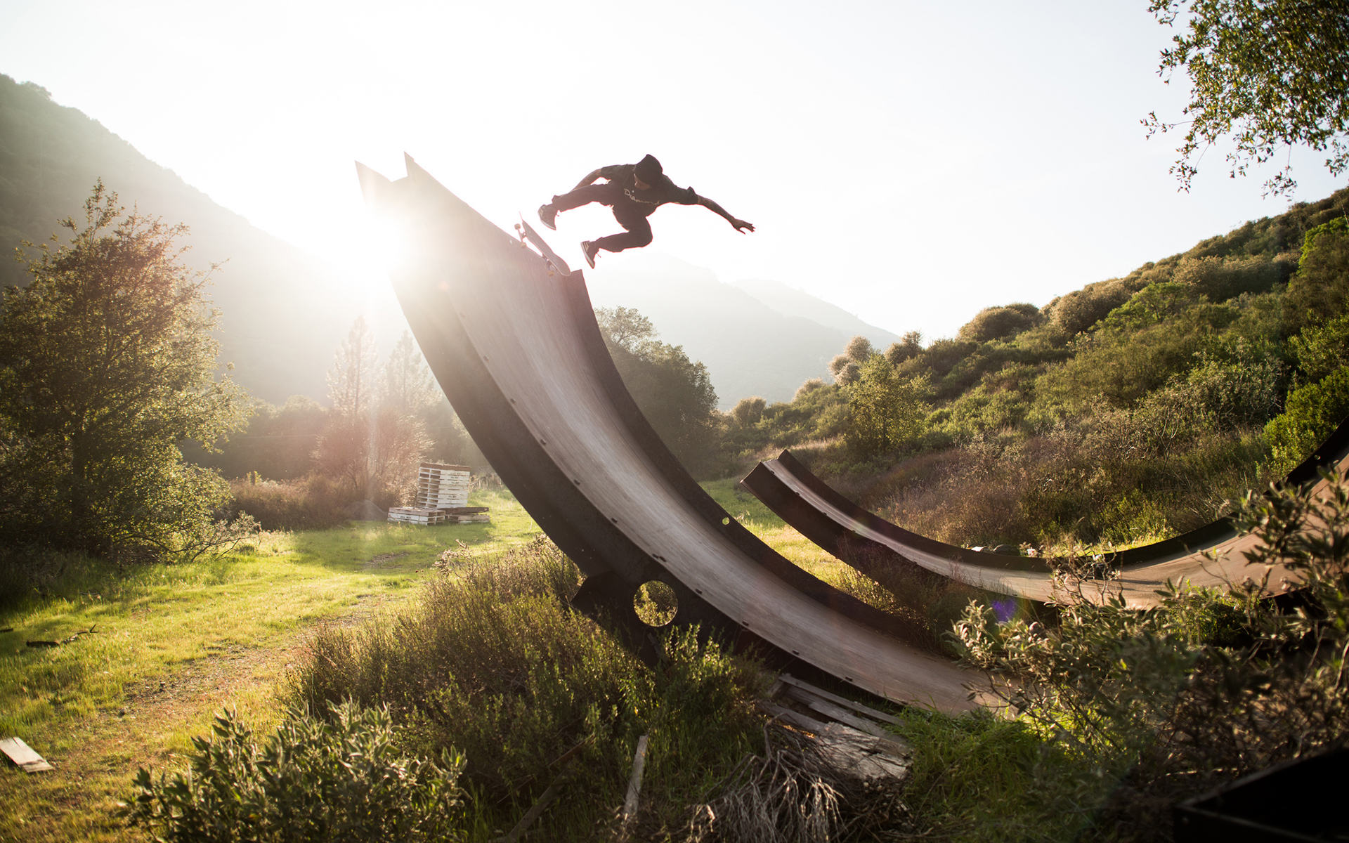 Skateboard Skateboarding Jump Stop Action Sunlight Ramp Wallpaper