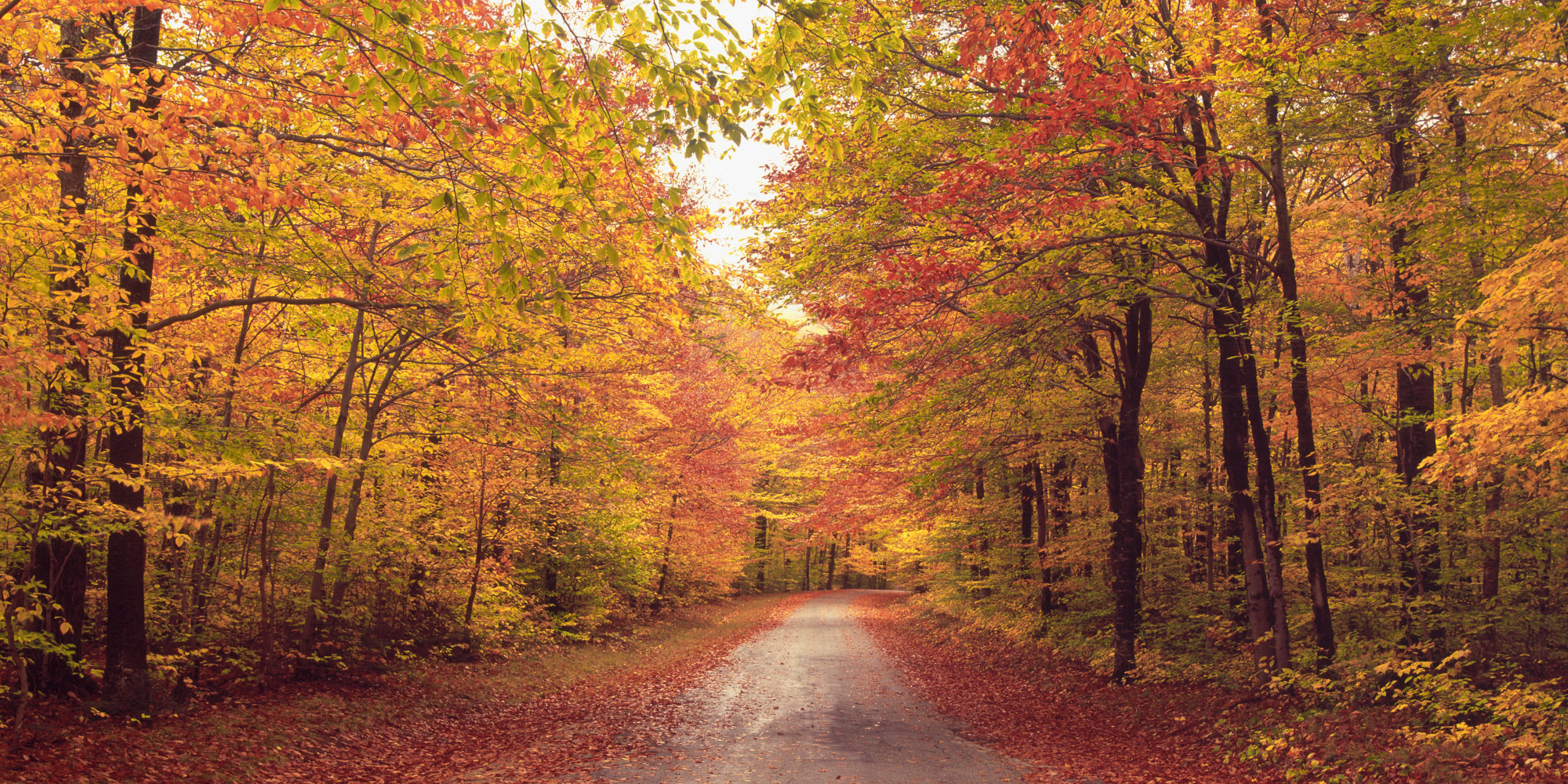 Free Download First Day Of Fall 2013 The Autumnal Equinox Is Here 