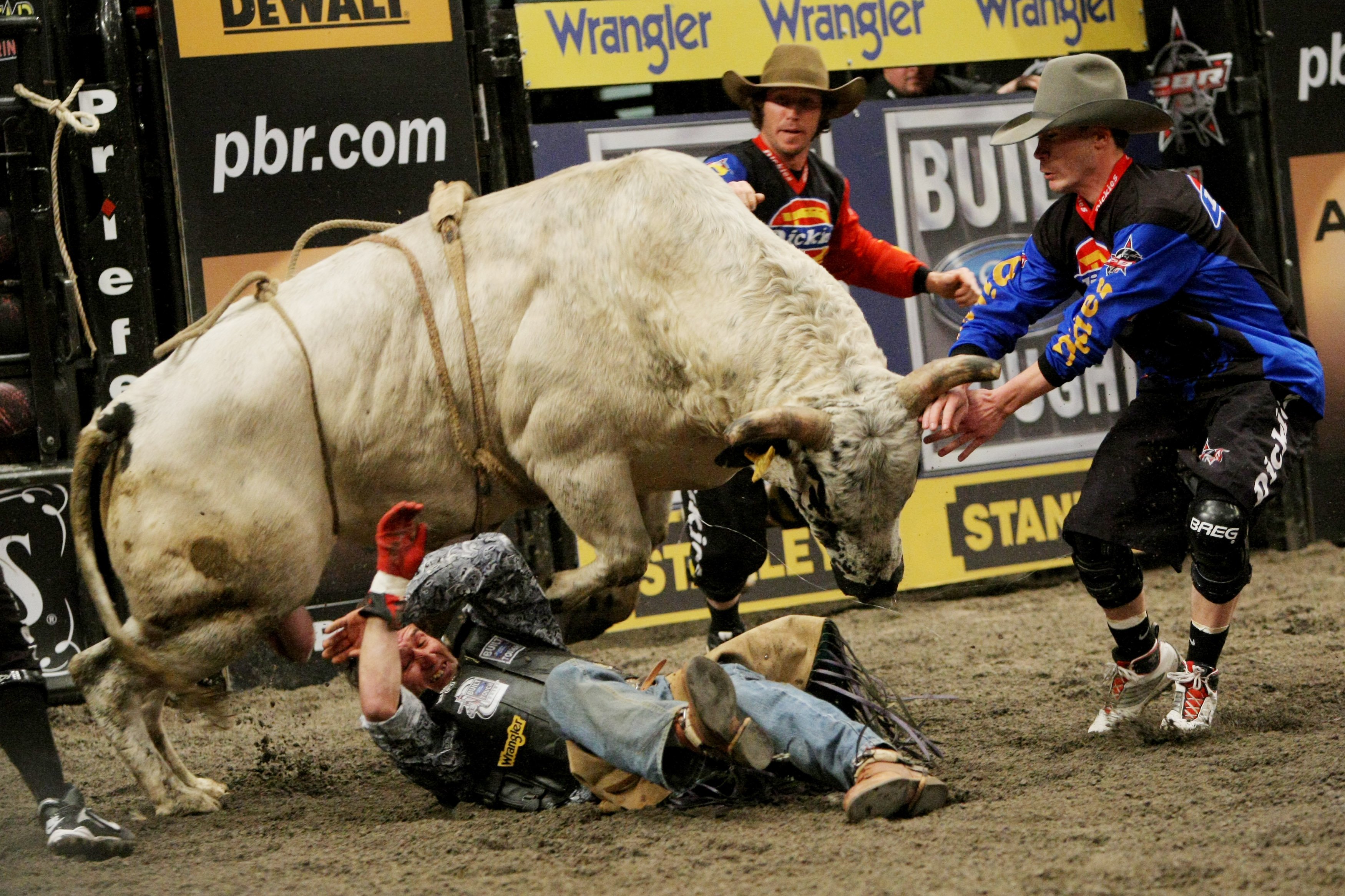 Bull Riding Bullrider Rodeo Western Cowboy Extreme Cow Wallpaper