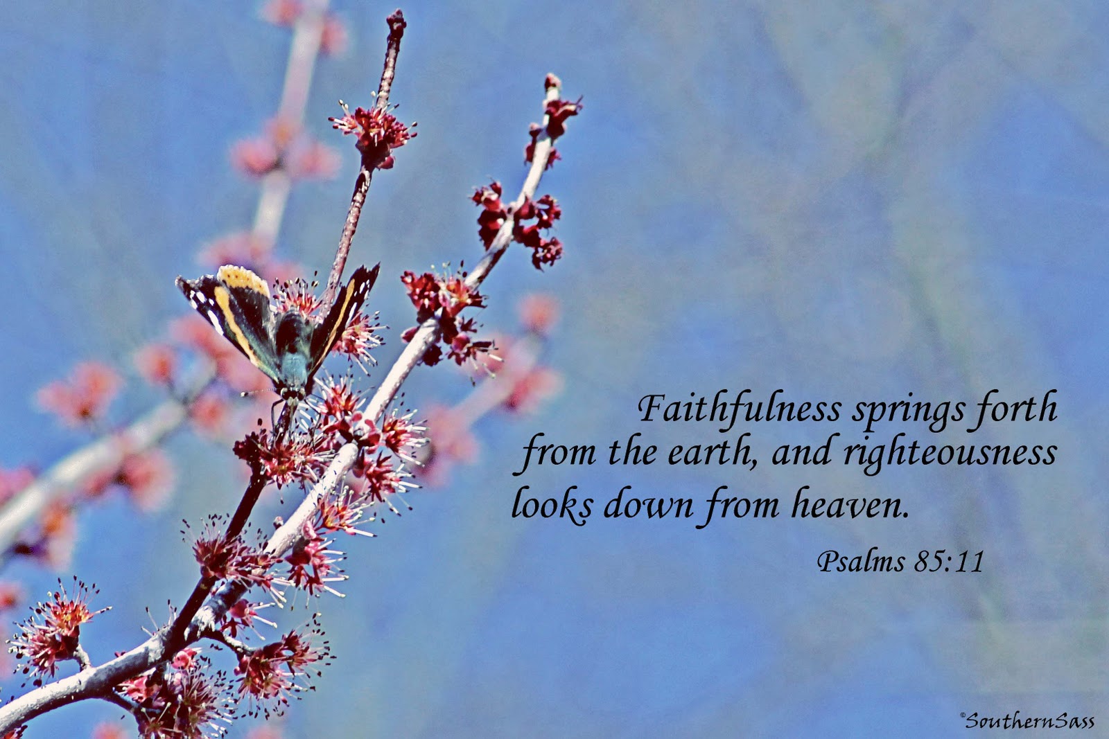 Spring Background With Bible Scripture