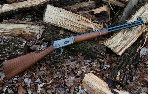 Wallpaper Winchester Model Rifle Weapon