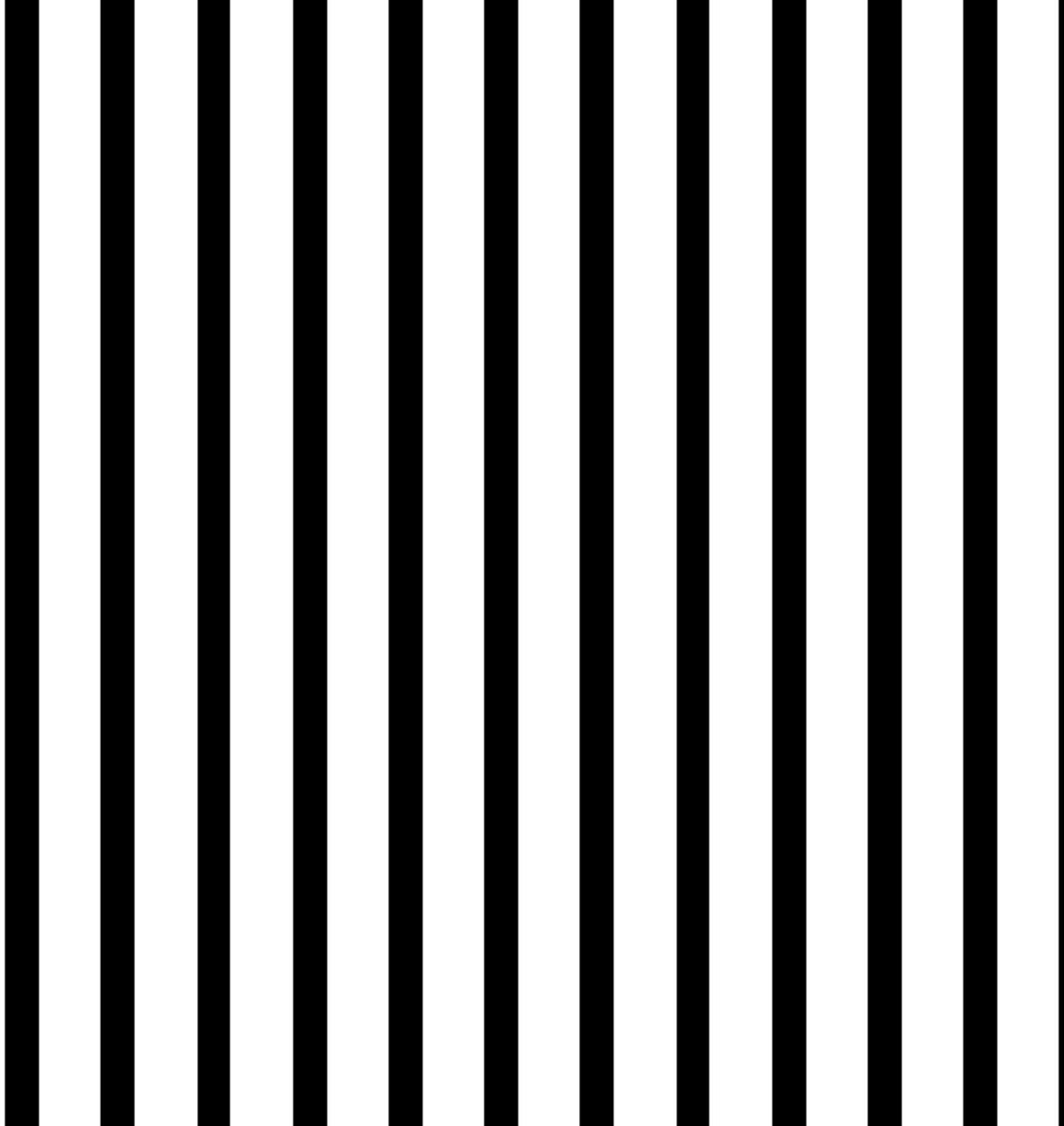 computer screen black and white stripes