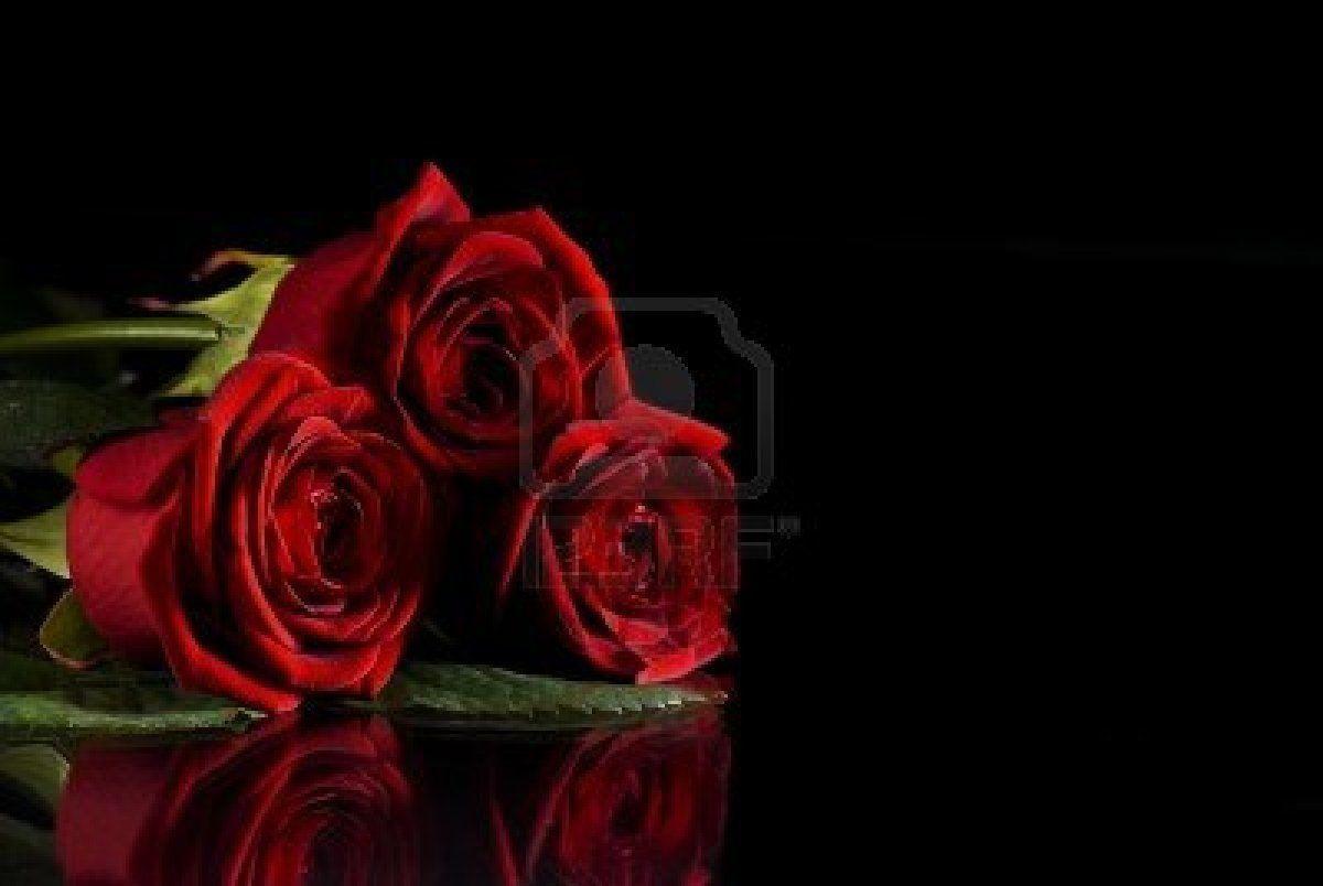 Red Roses On Black Background