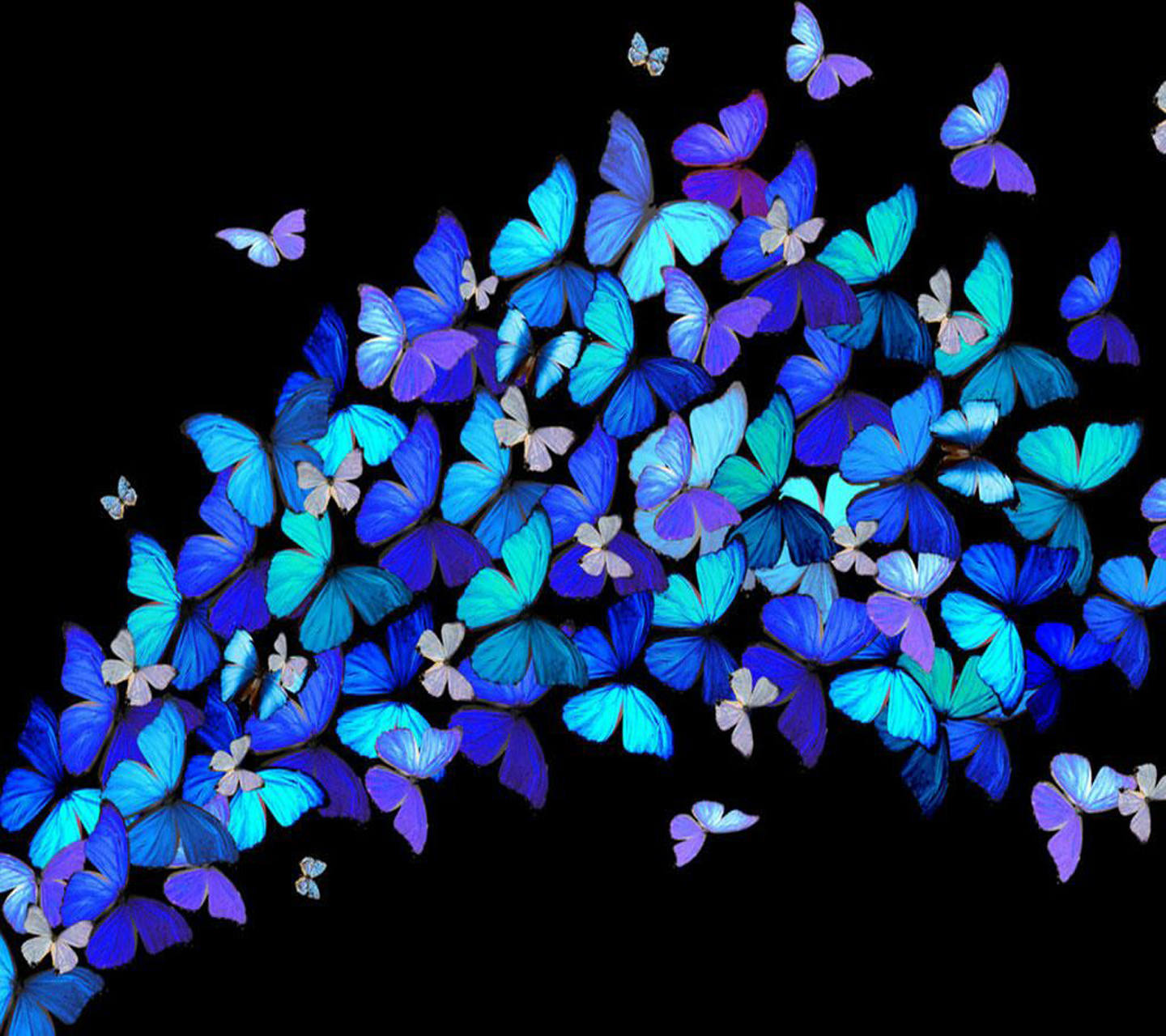 See Also Nice Butterfly Wallpaper