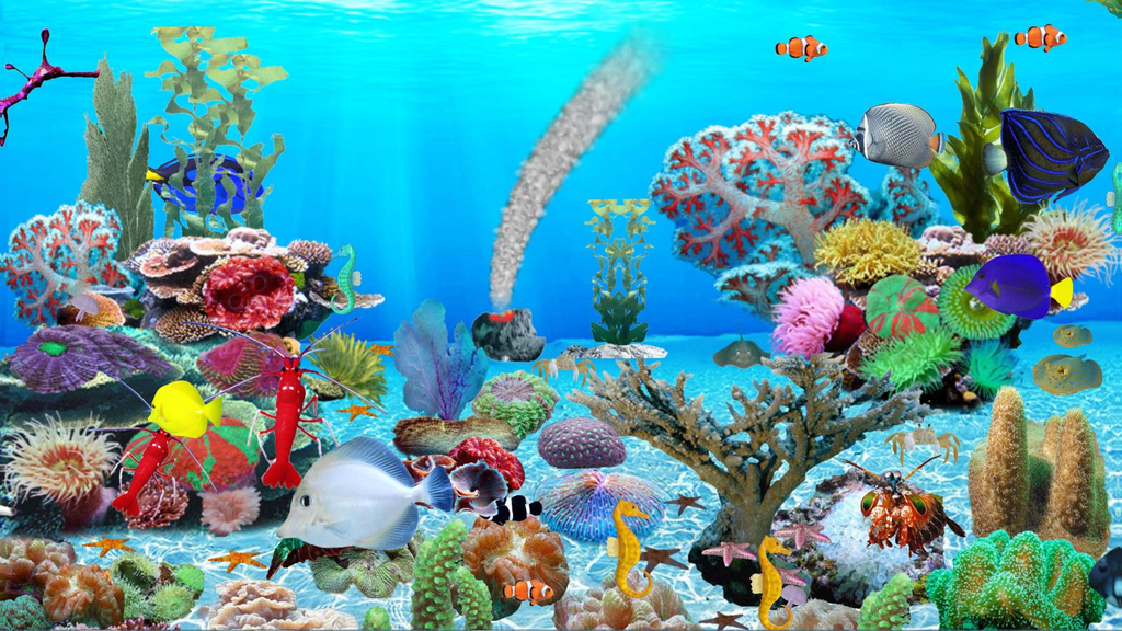 Blue Ocean Aquarium Wallpaper