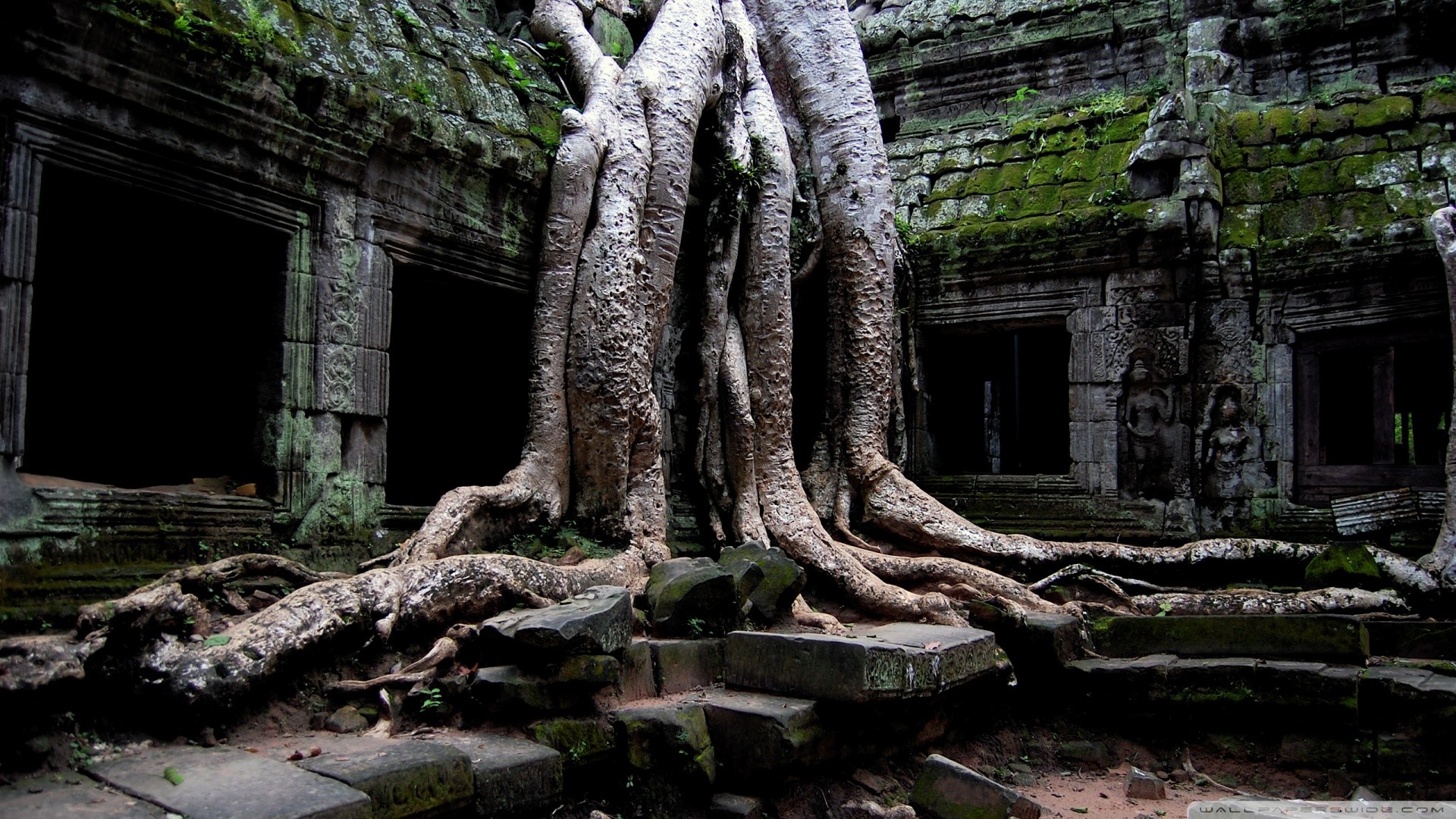 Angkor Wat Wallpaper HD