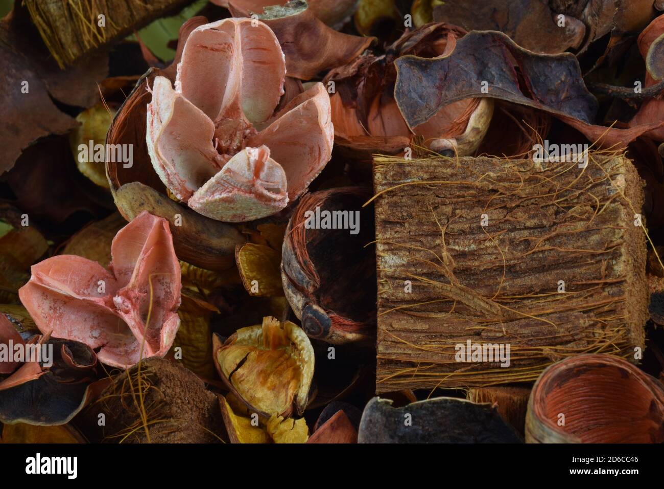 Free download Abstract background with aromatic dried flowers plant