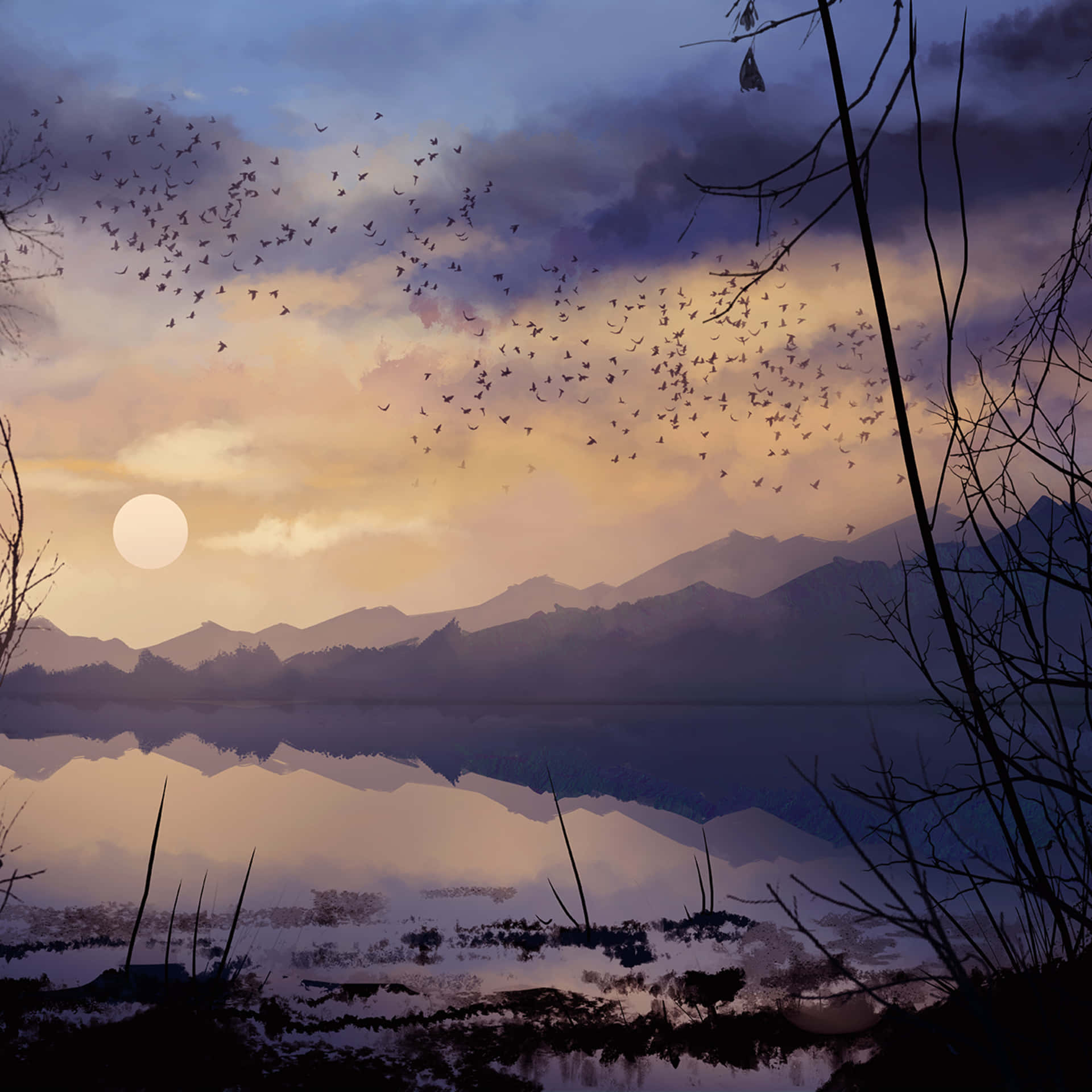 Aesthetic Nature Wallpaper