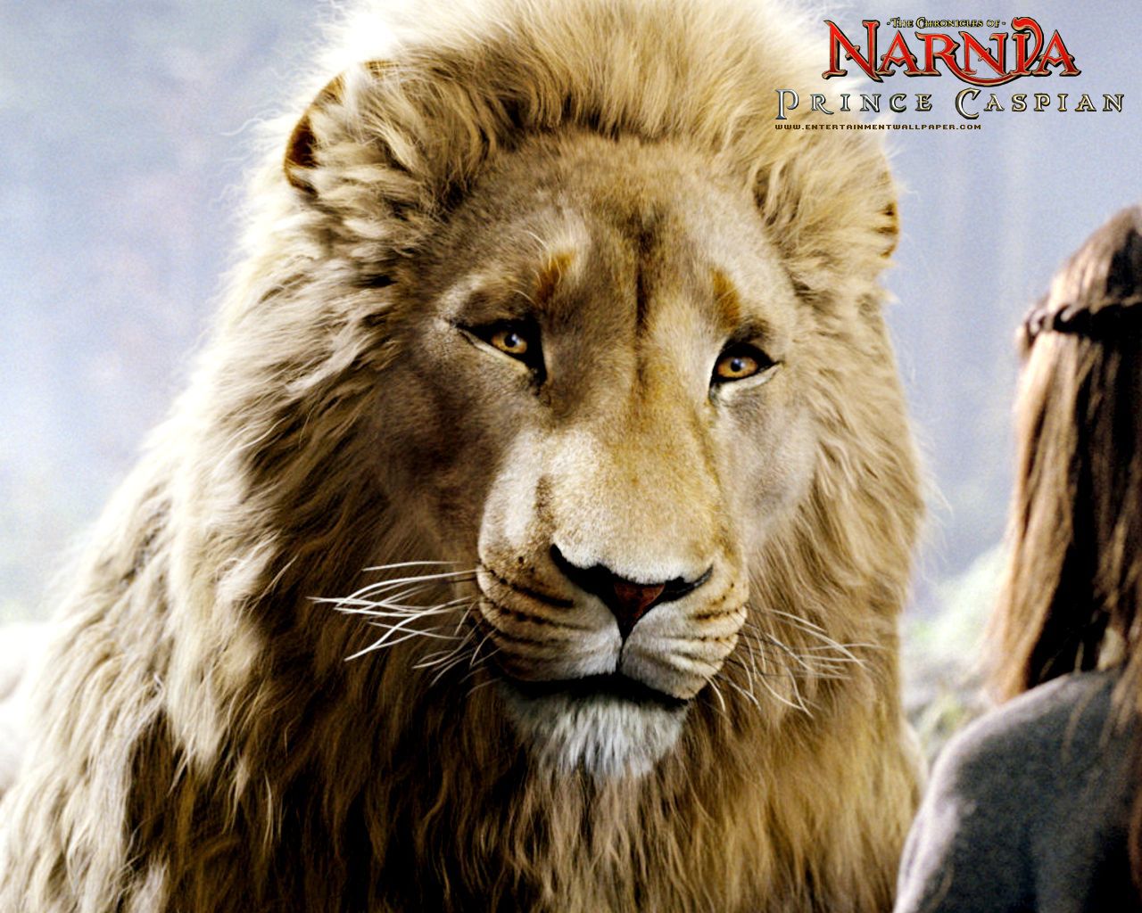 Aslan And Prince Caspian From Chronicles Of Narnia Wallpaper Click