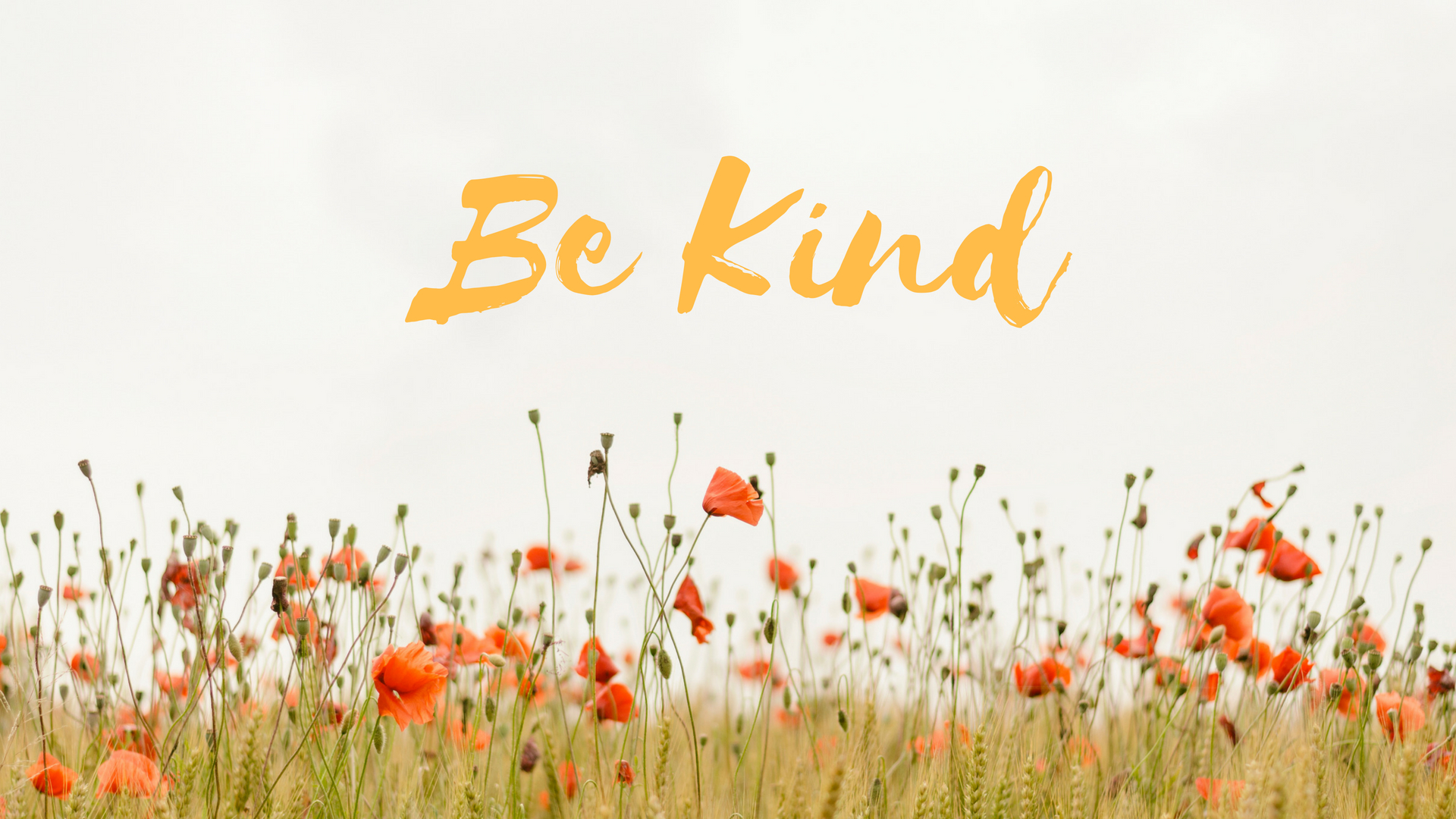 Be Kind Wallpaper