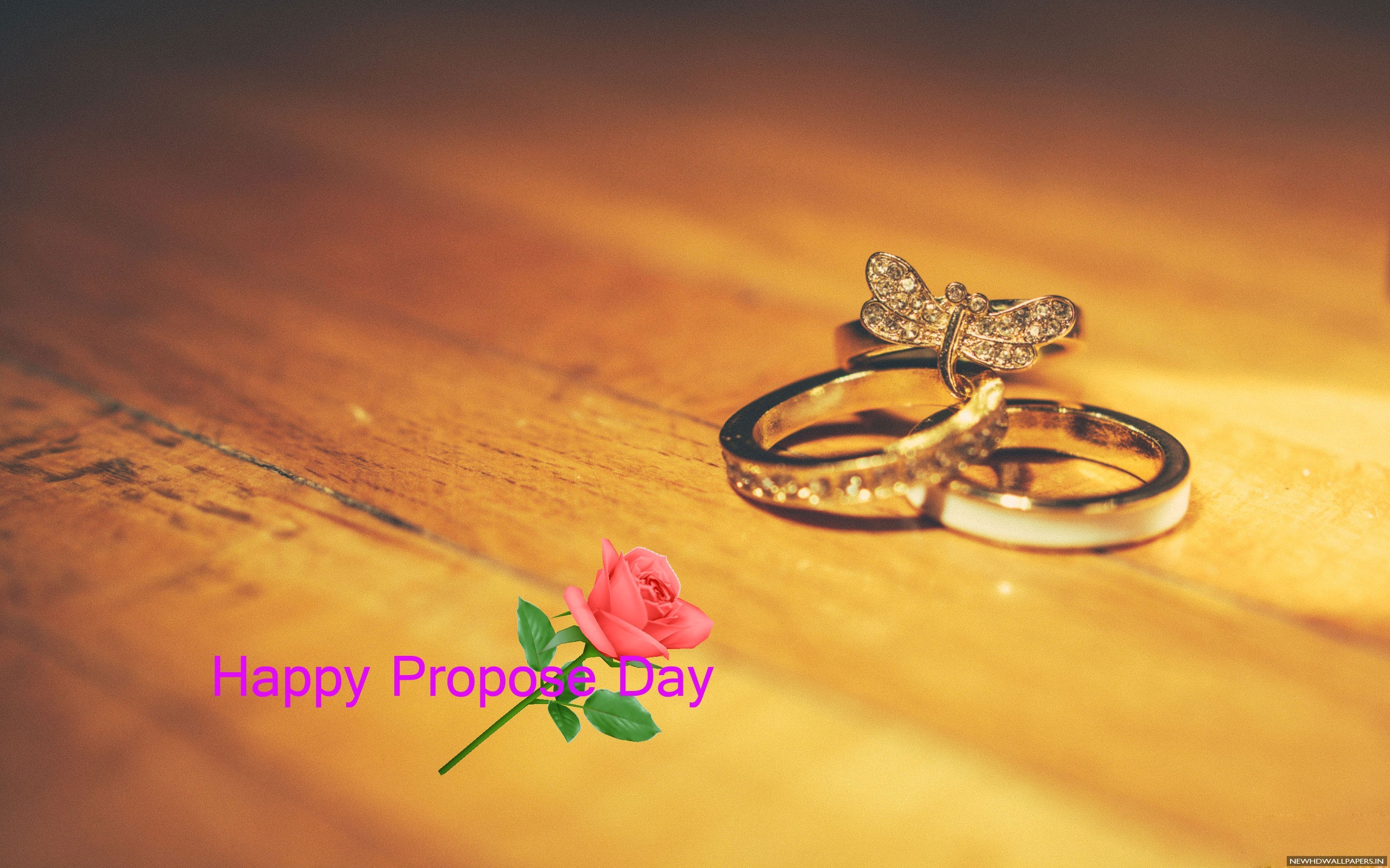Happy Propose Day Rings Wallpaper New HD