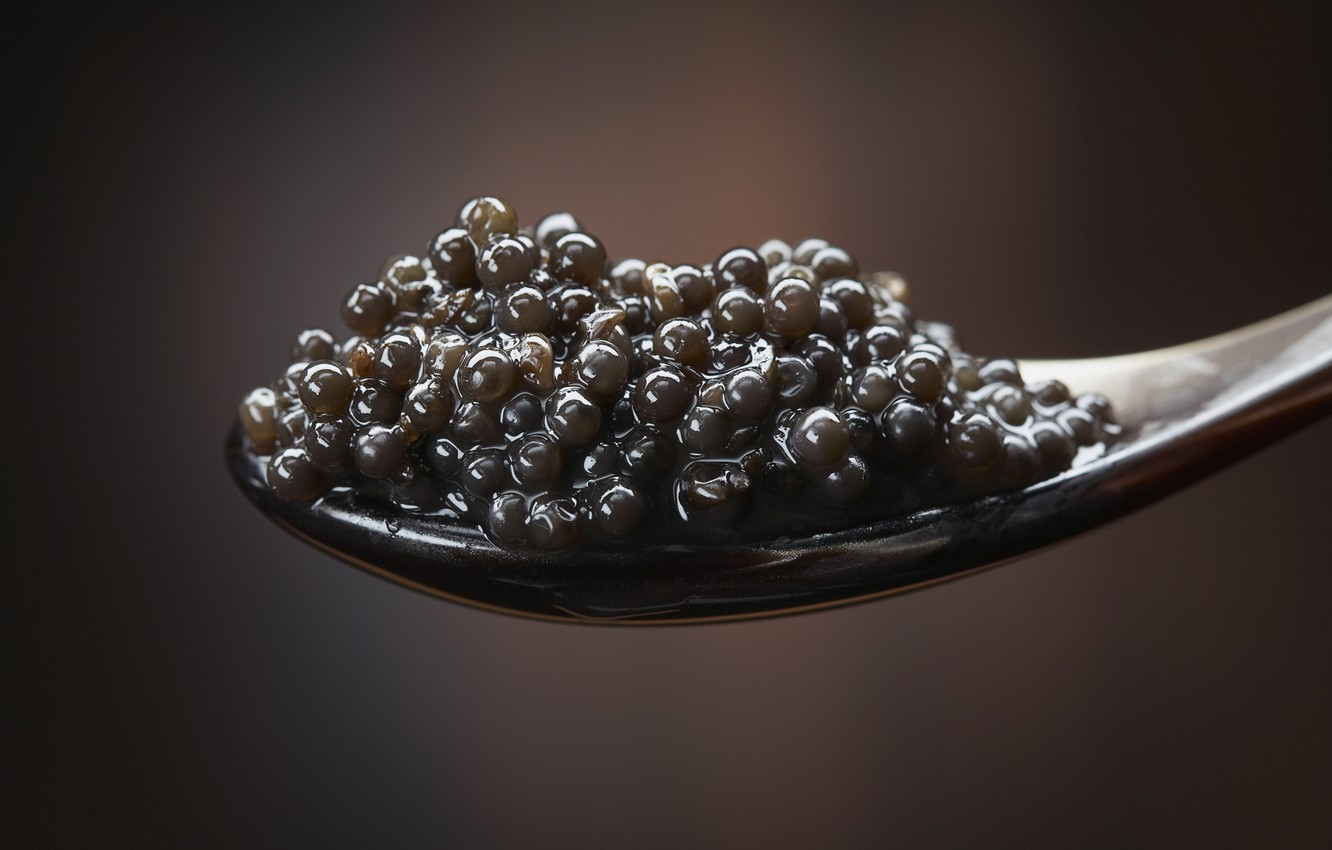 Wallpaper Macro Spoon Black Caviar Dumb Delicious Image