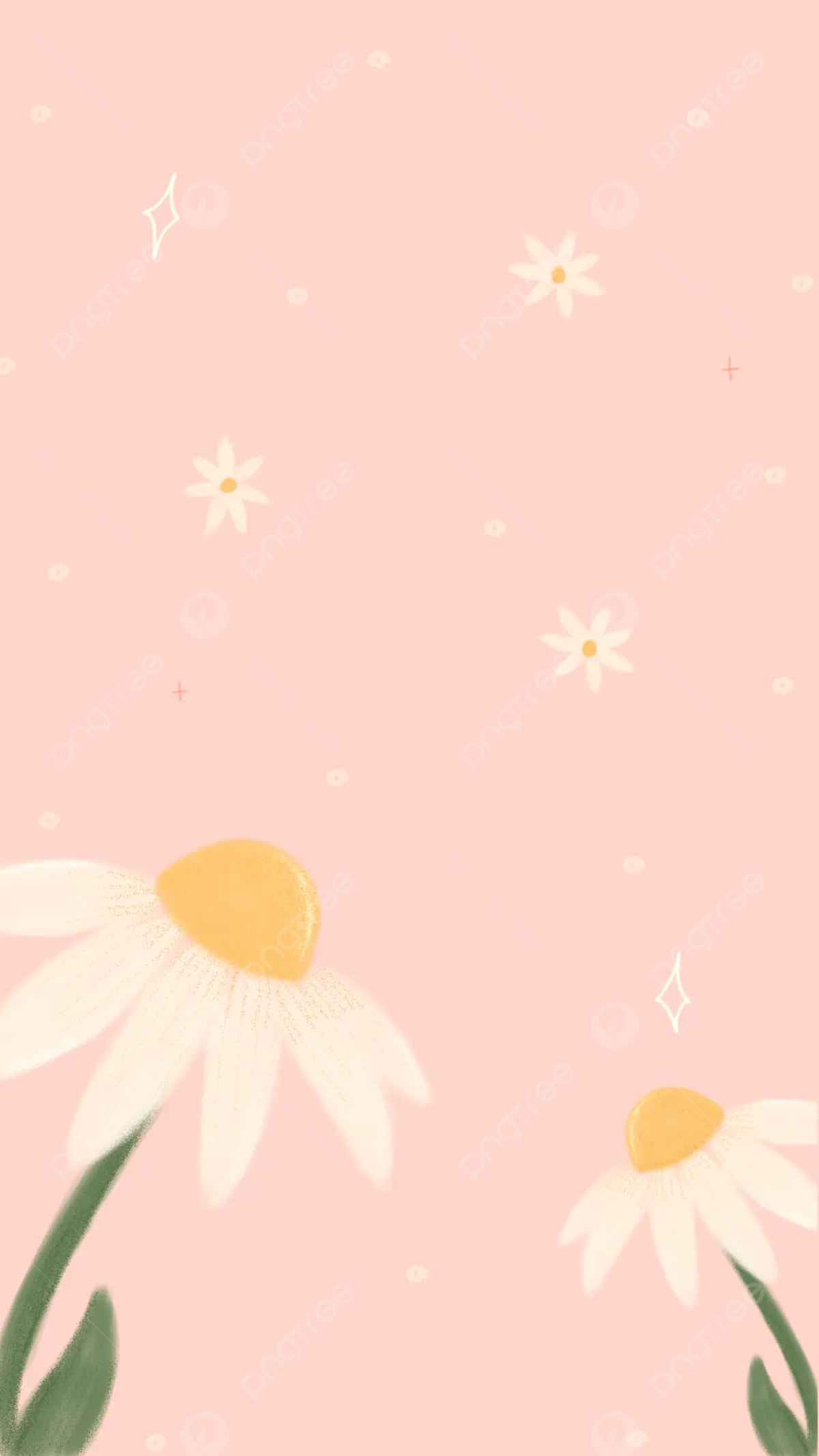 🔥 Free Download Daisy Aesthetic Wallpaper by @bcabrera22 | WallpaperSafari