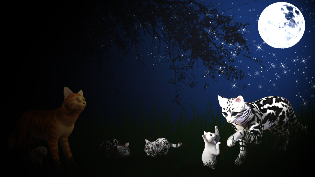 Warrior Cats Family At Night By Marauderwolf93