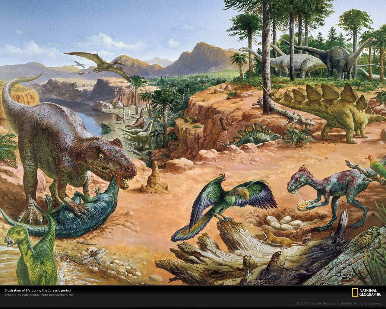 sciencenationalgeograDinosaur Wallpaper