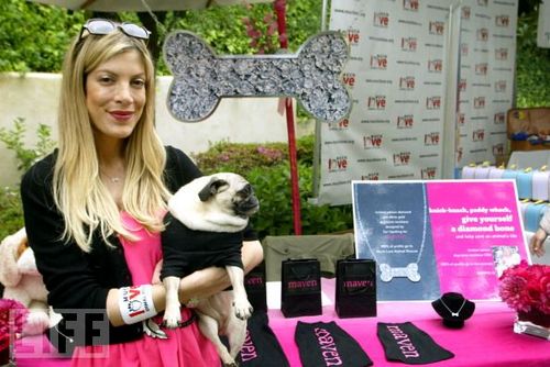 Tori Spelling Image Wallpaper And Background Photos