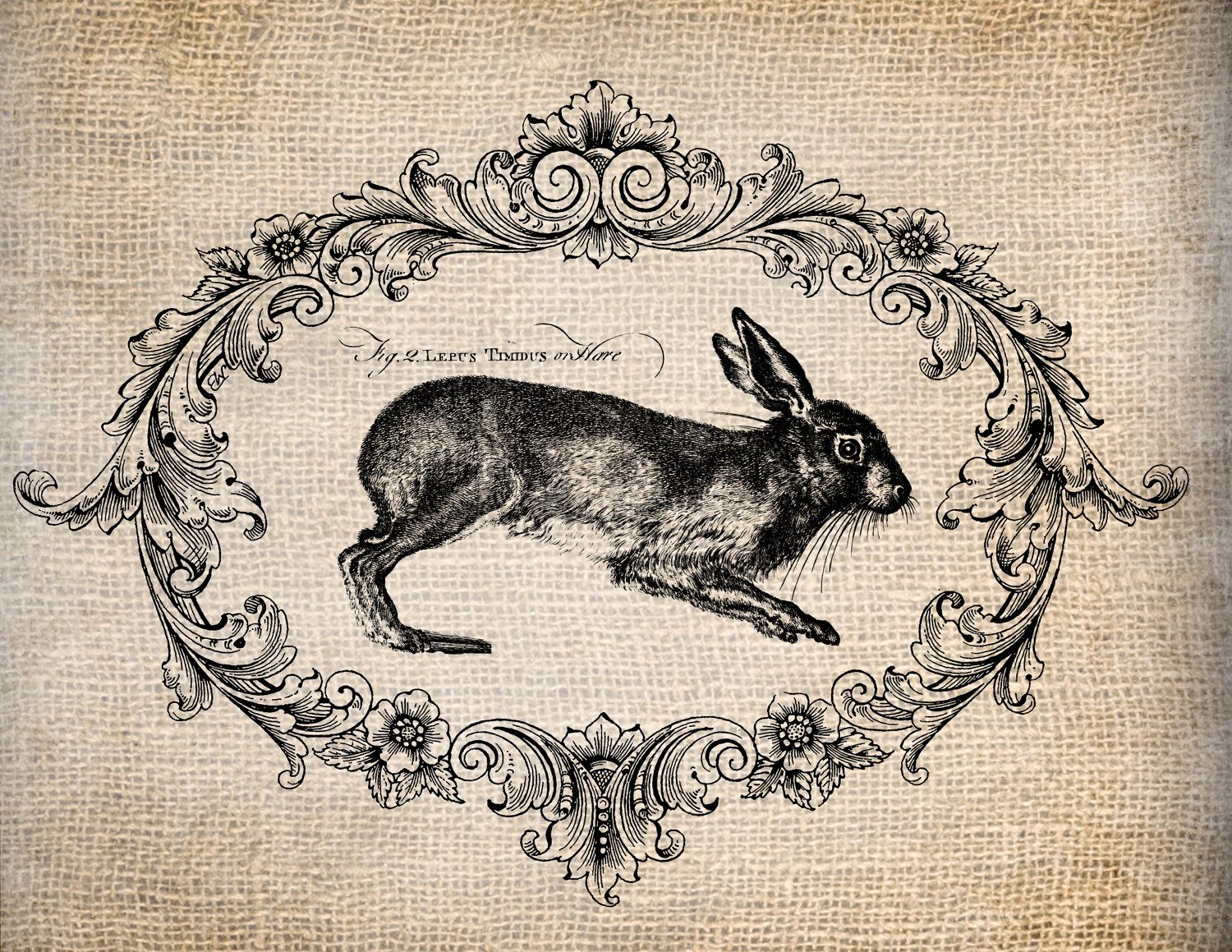 Antique French Rabbit Le Lapin Script Easter By Antiquegraphique