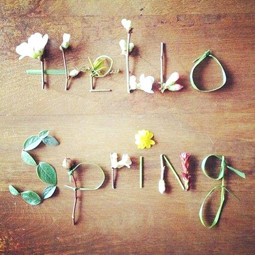 Hello Spring Image Pictures Becuo