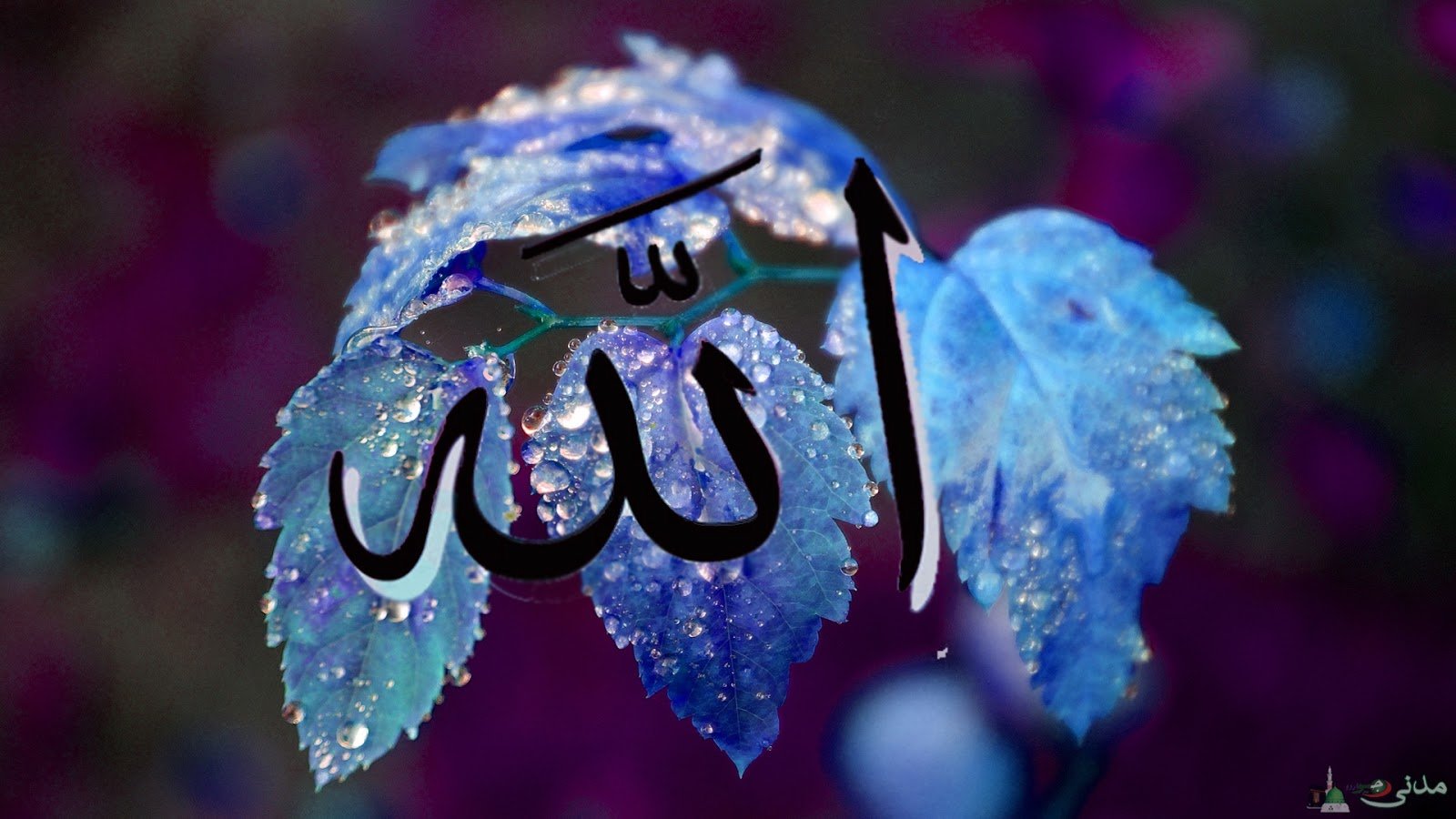 Wallpaper Allah Names The Of In Name