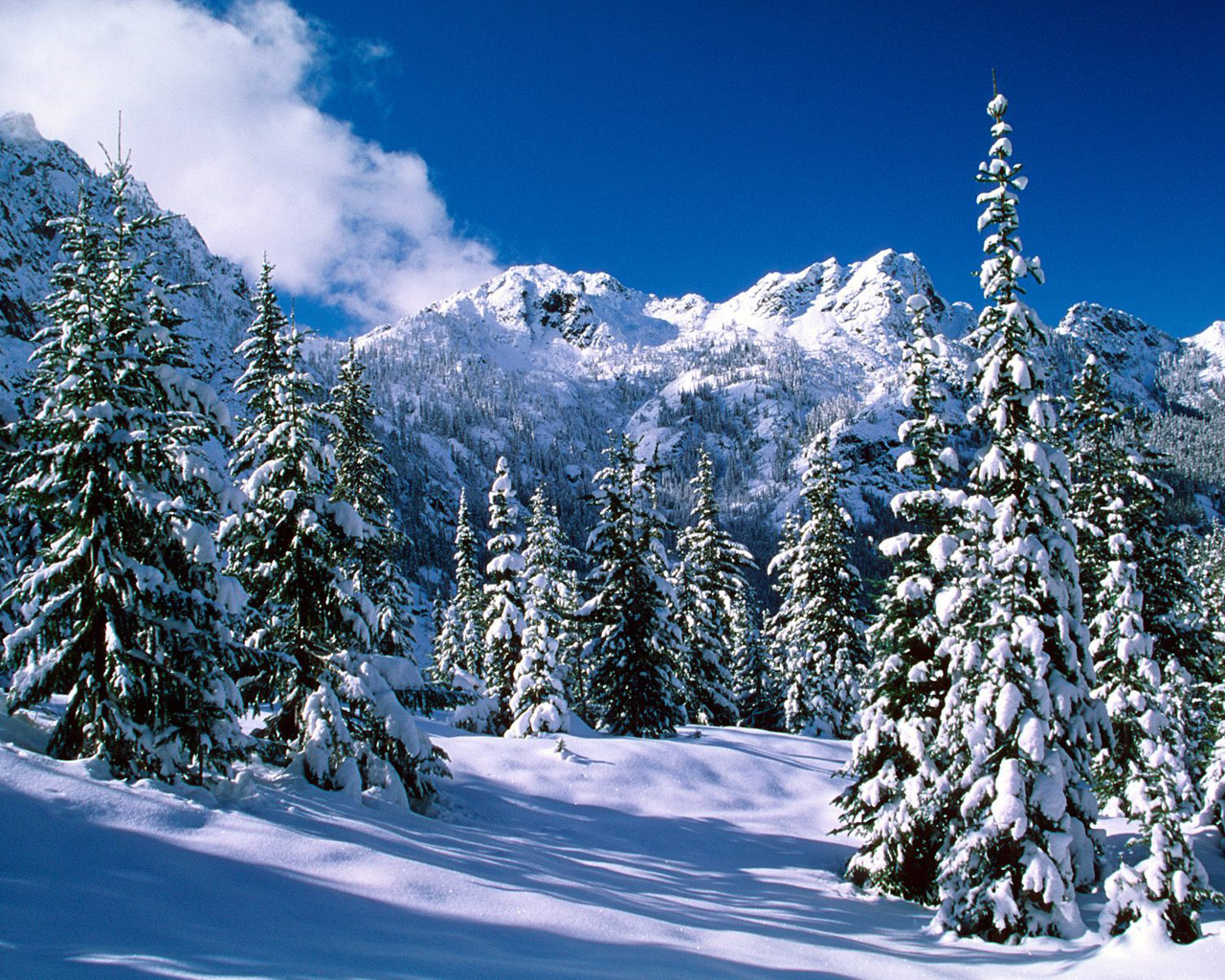 Winter wonderland Dreamy Snow Scene wallpaper 12801024 NO47 1280x1024