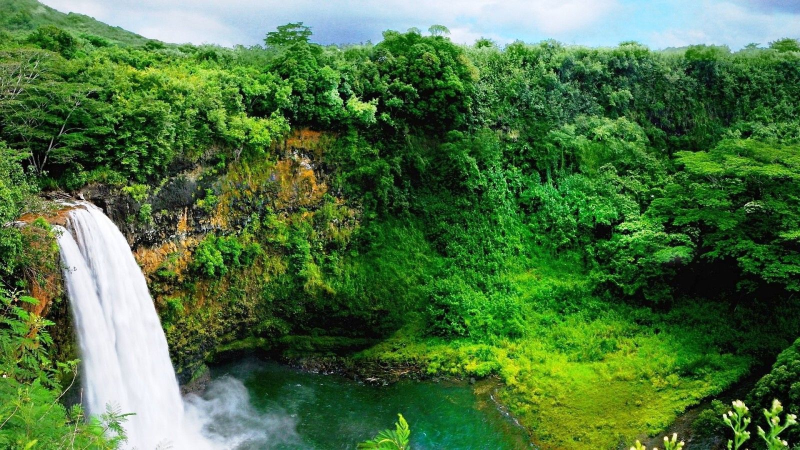 Nature Waterfall Forest Wallpaper Gardening Kauai