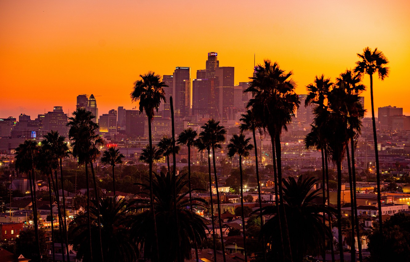 Wallpaper city sunset California palm trees los angeles