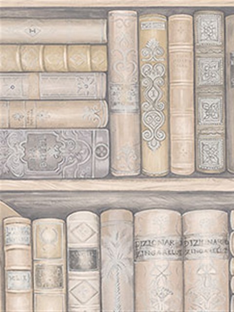 Illusions Bookcase Wallpaper Eclectic Houston By