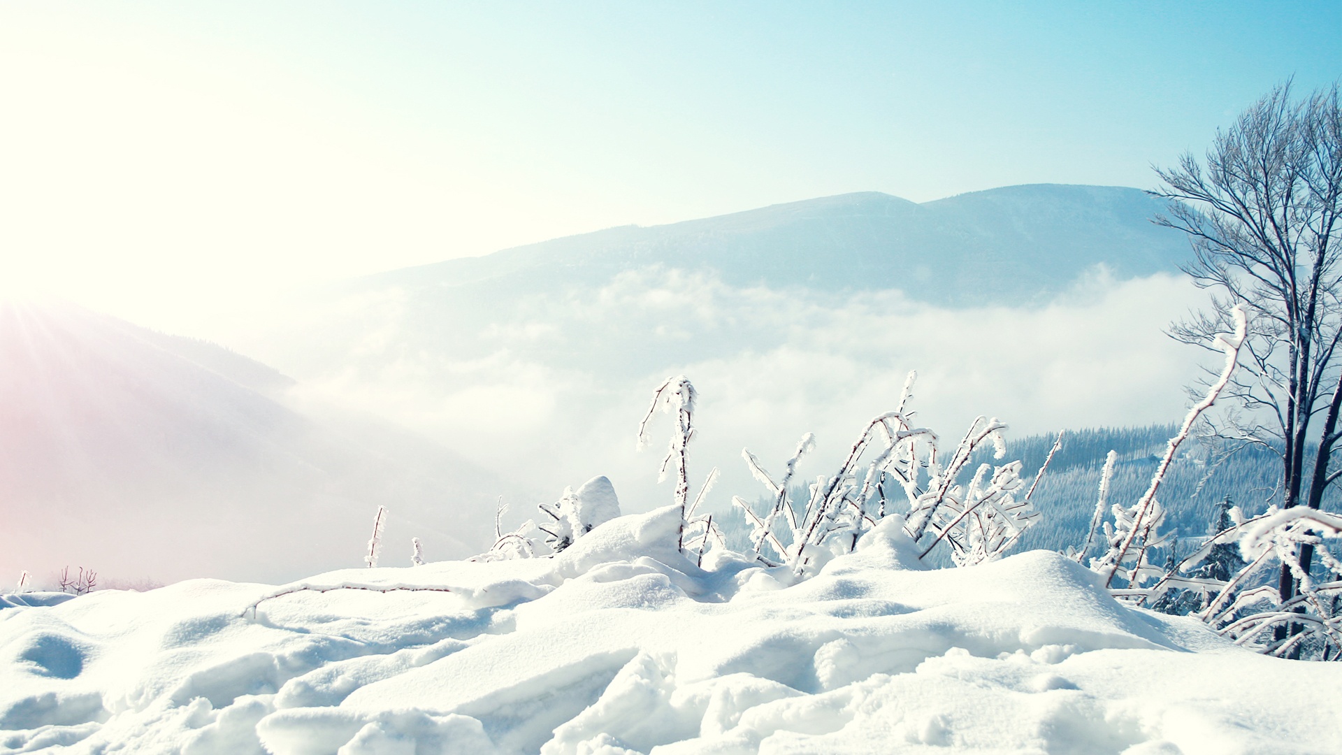 Snow Winter Mountains Wallpapers HD Wallpapers 1920x1080