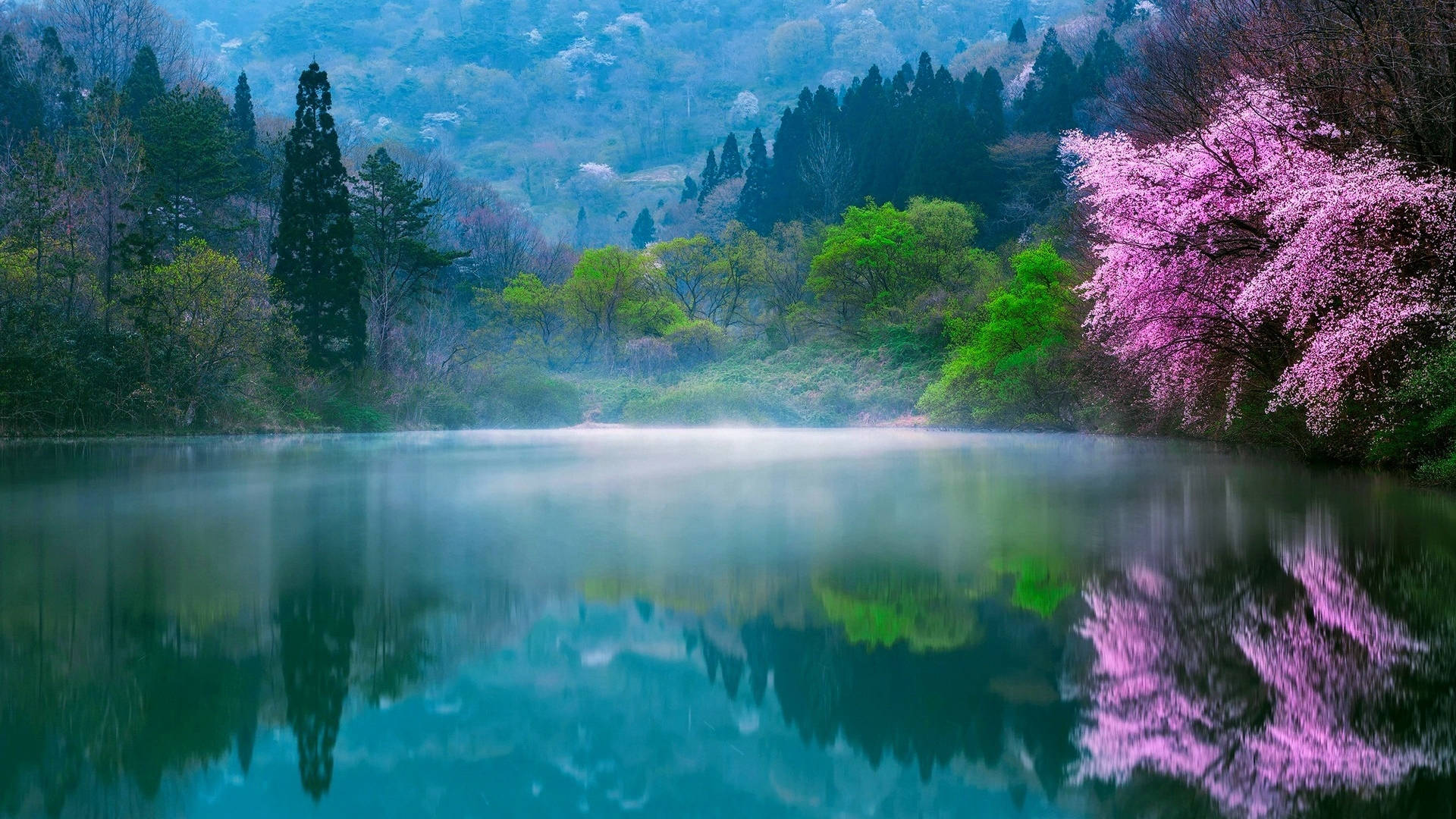 Beautiful Spring Wallpaper