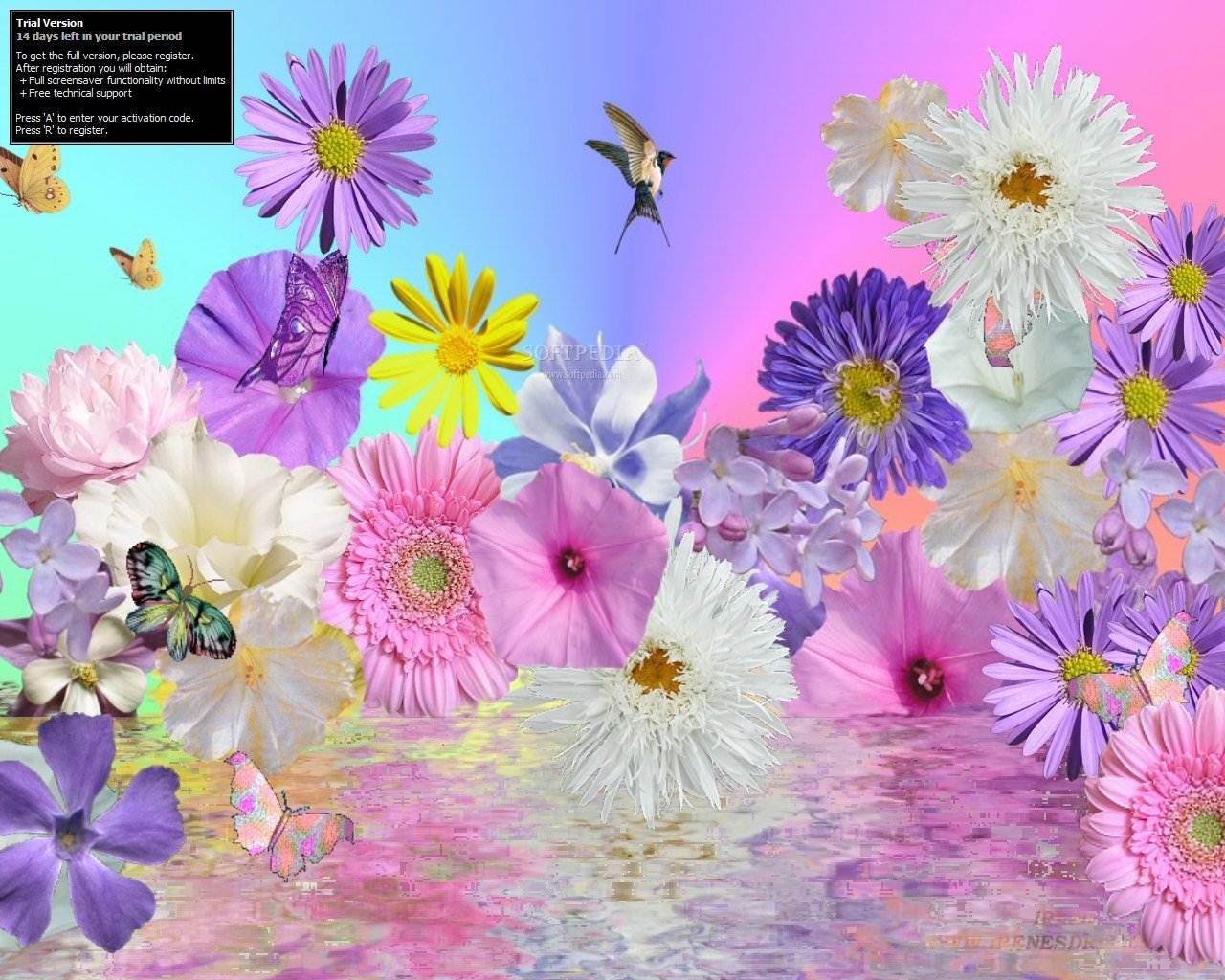 47 Summer Flowers Screensavers And Wallpaper On Wallpapersafari