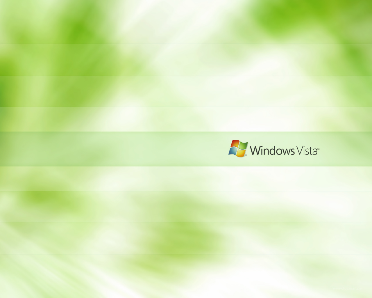 Bright Green Wallpaper Windows Vista