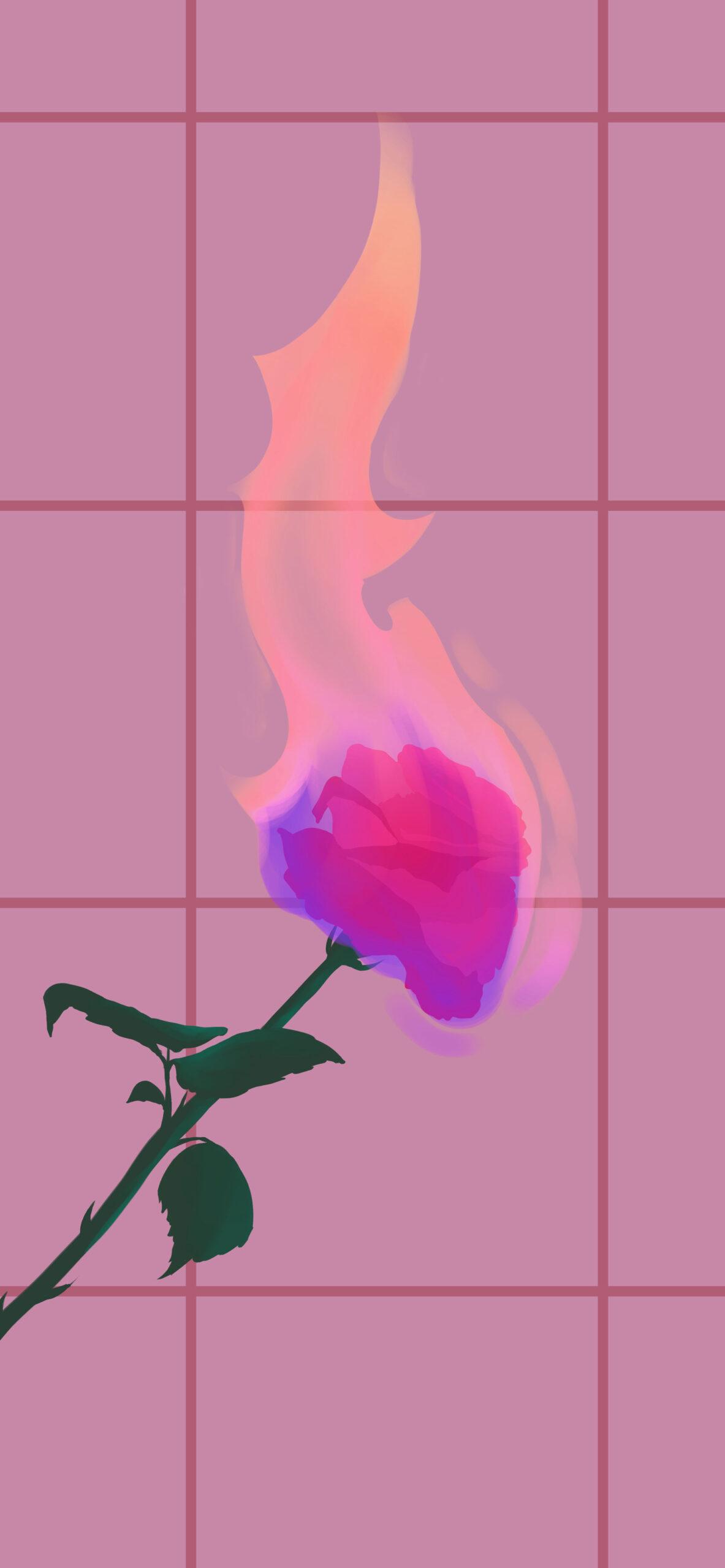 Rose On Fire Pink Wallpaper Aesthetic Baddie W