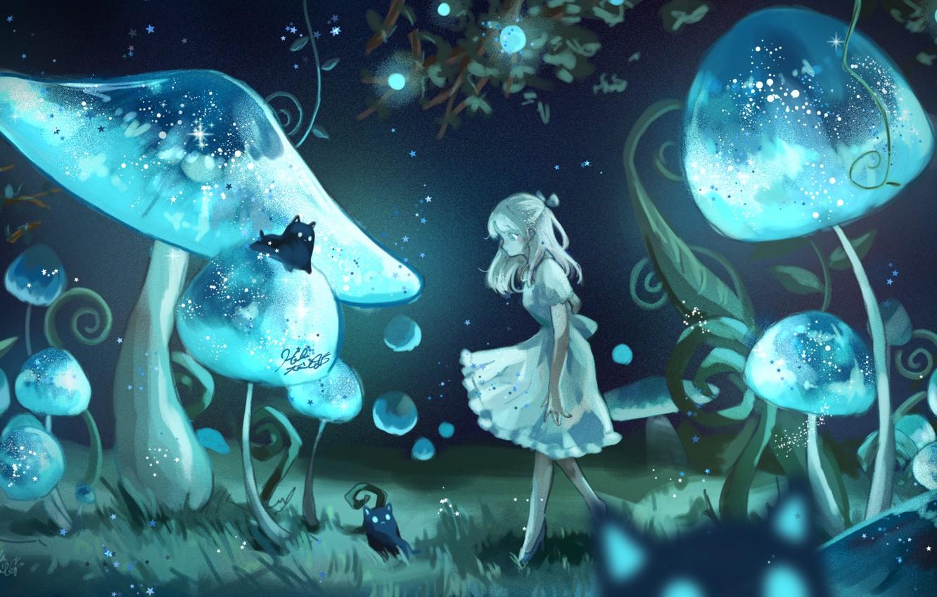 Wallpaper Girl Cats Night Mushrooms Fantasy Image For Desktop