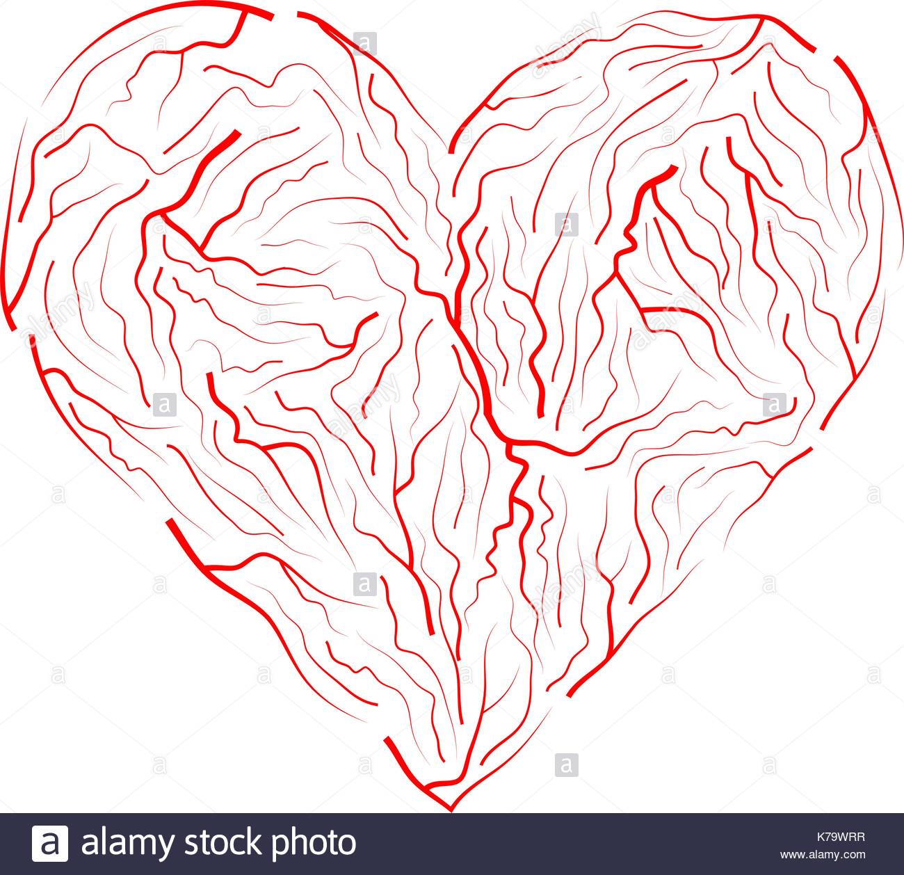 Vein Heart Vector Symbol Icon Design Beautiful Illustration